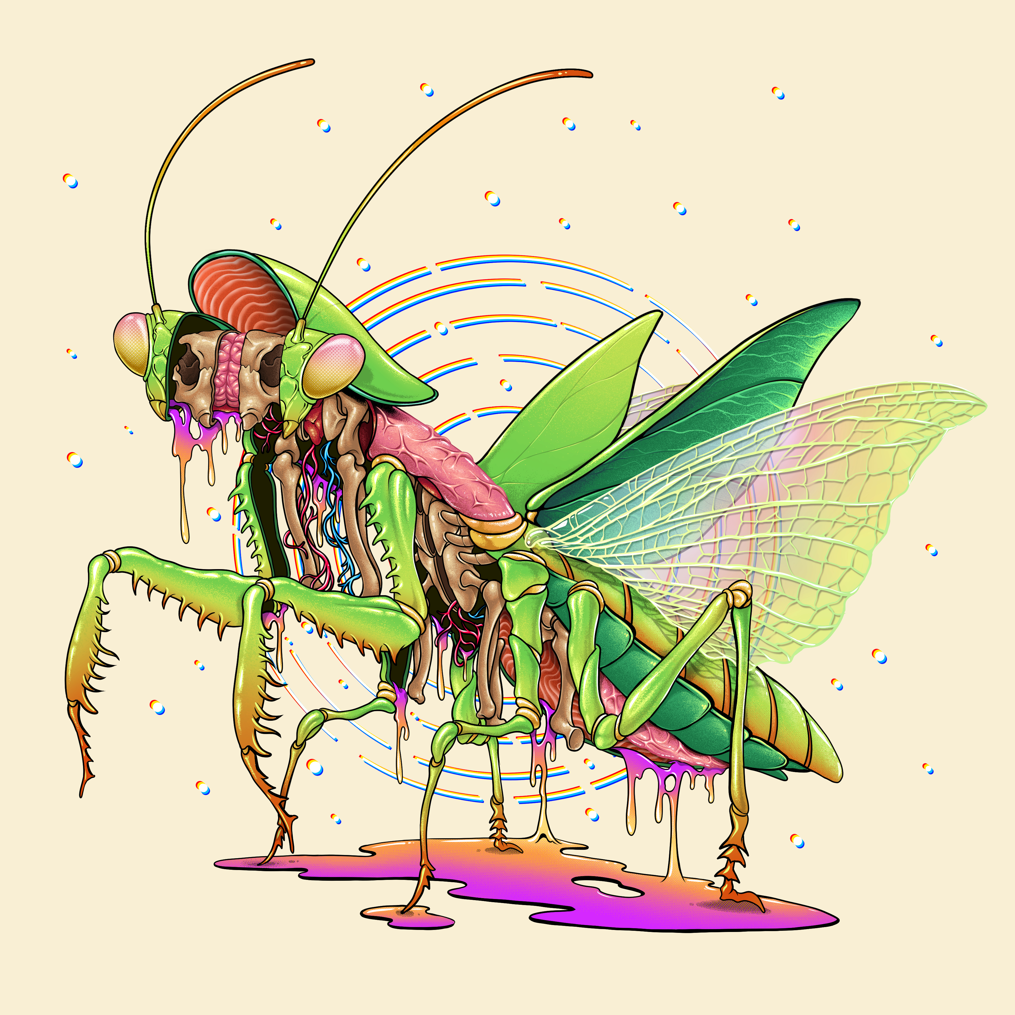 Mantis(?)