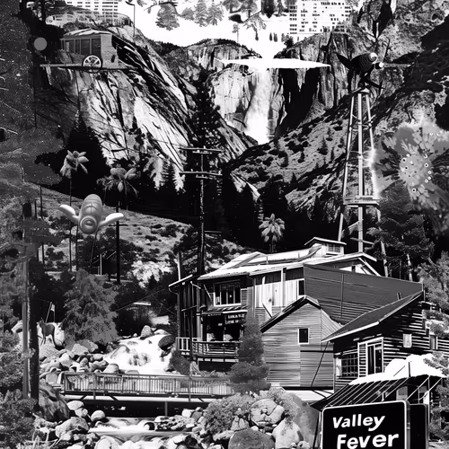 VALLEY FEVER