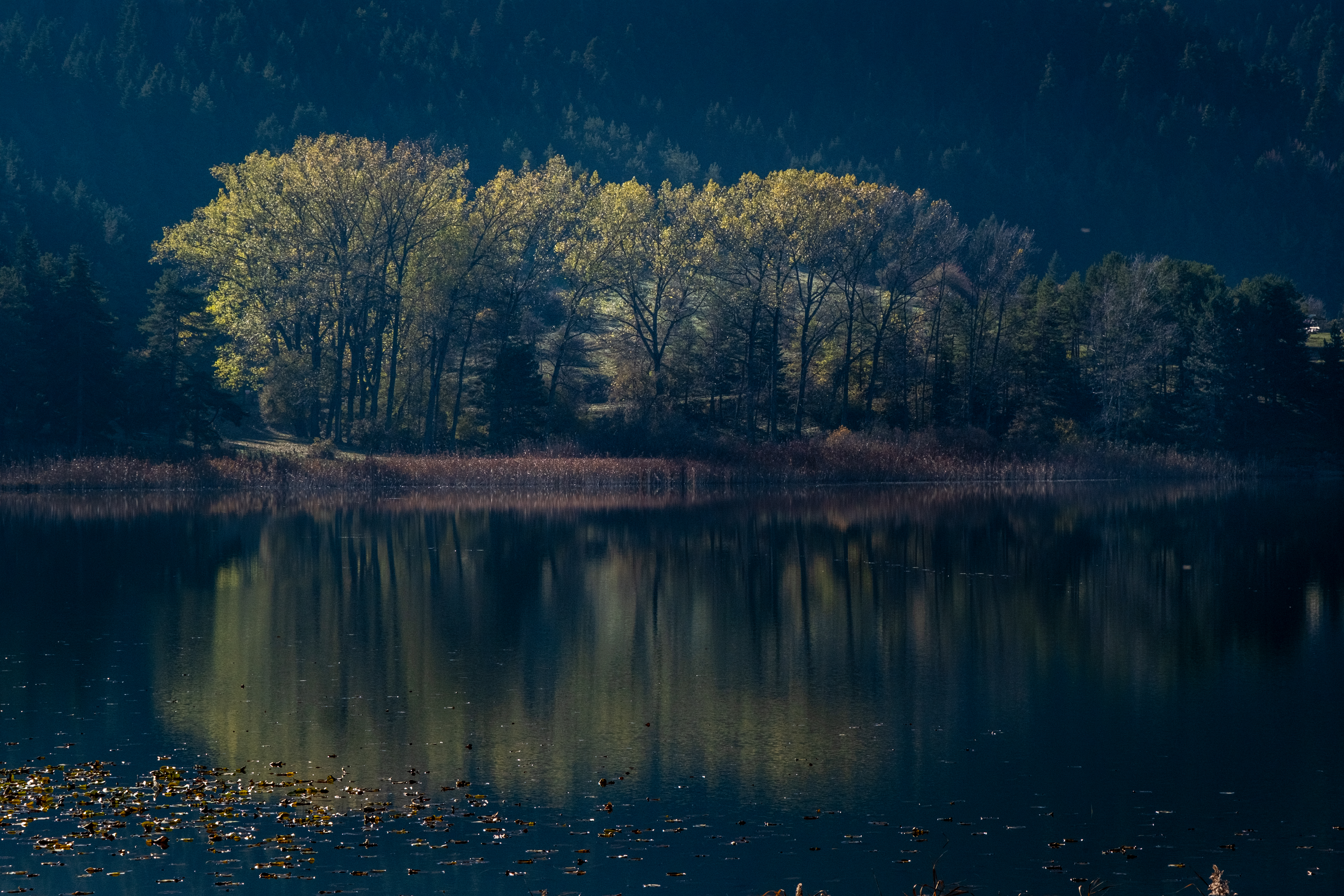 Reflection #3 #2