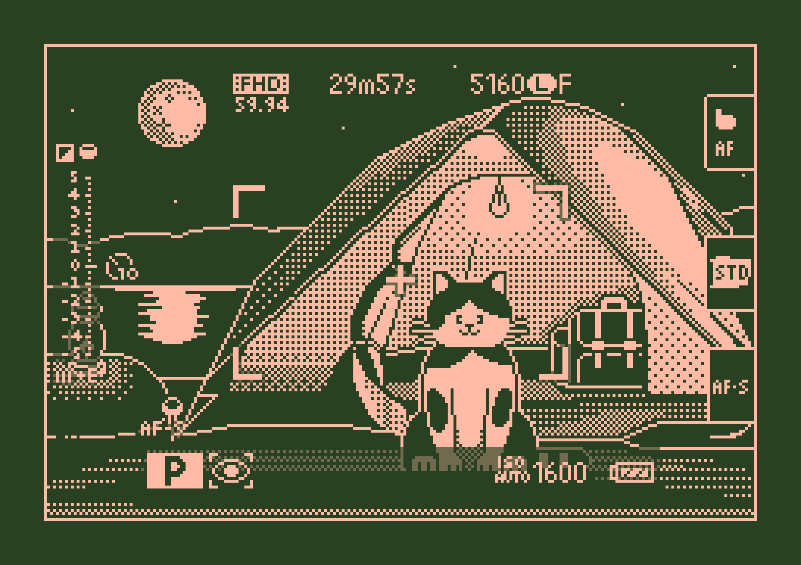 Purrfect Time