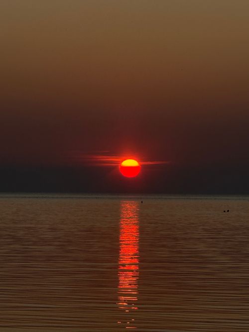 Burning horizon