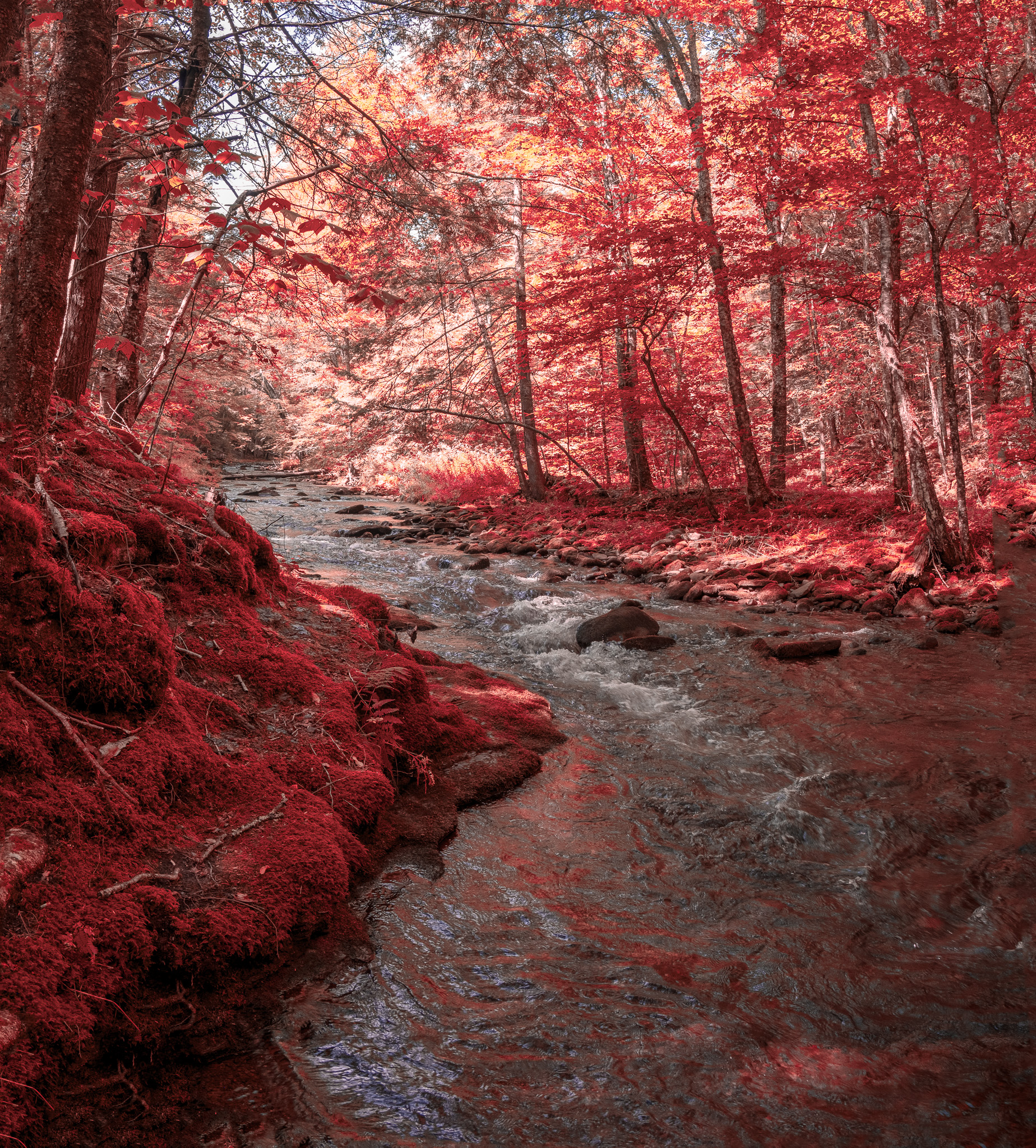 Sacred Place