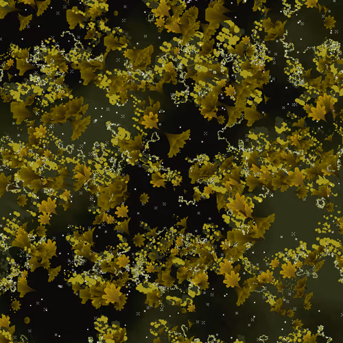 Herbarium//Rarissima
