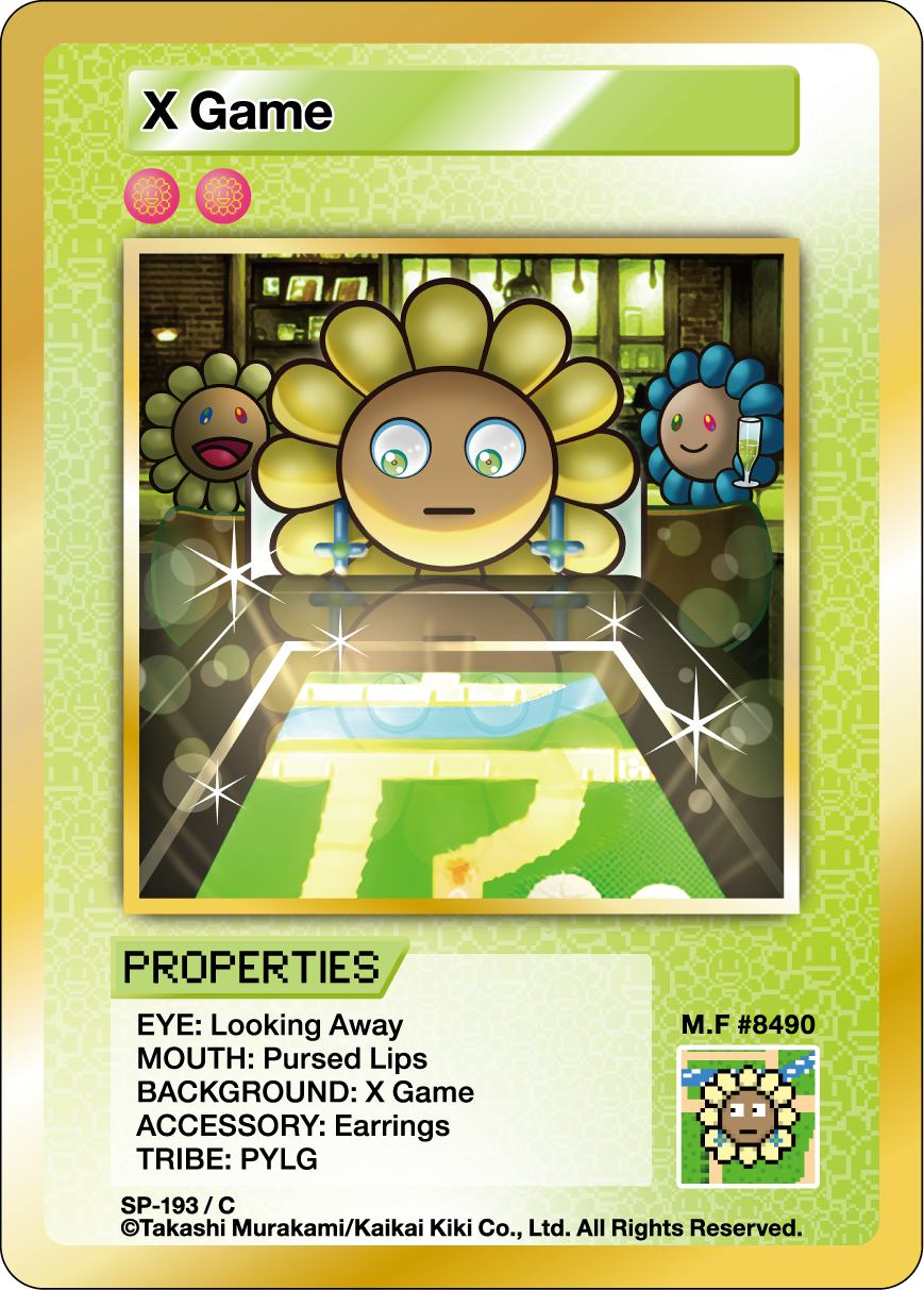 X Game SP-193 EN
