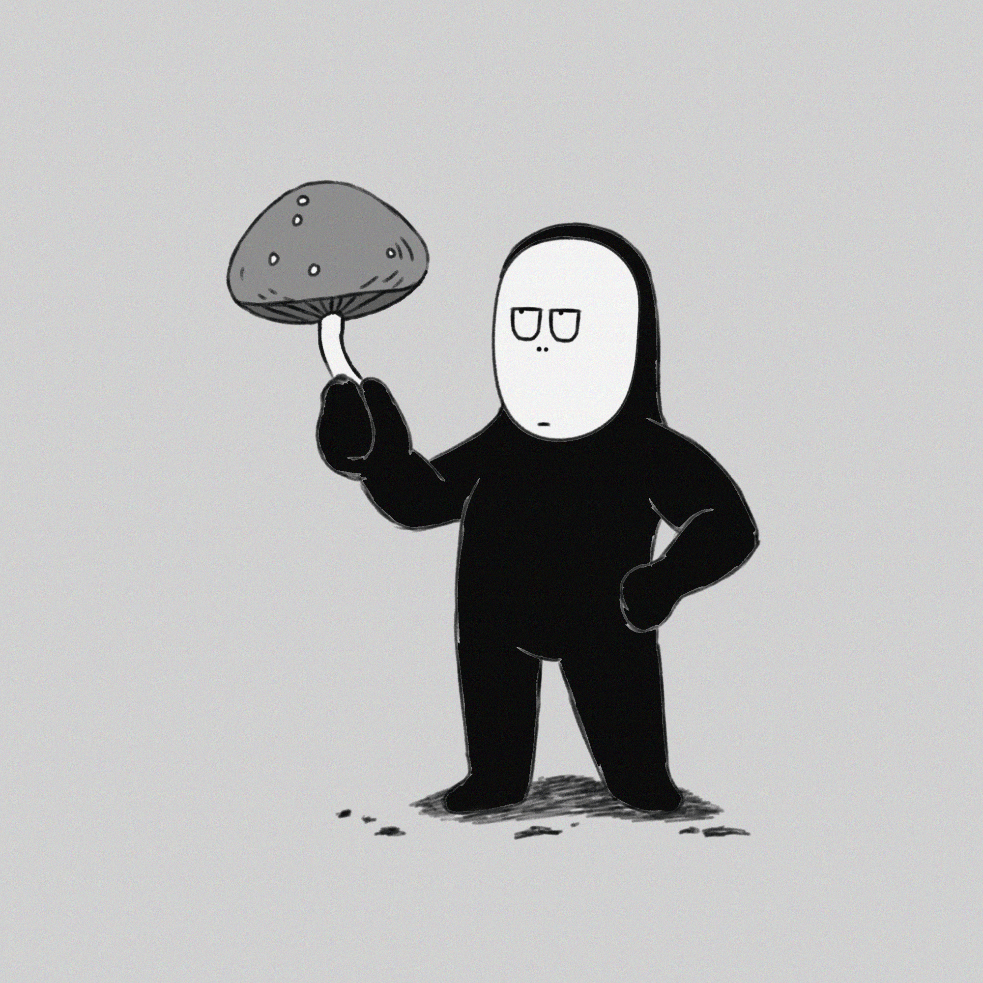 Wild Mushrooms