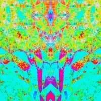 GIFNT #58