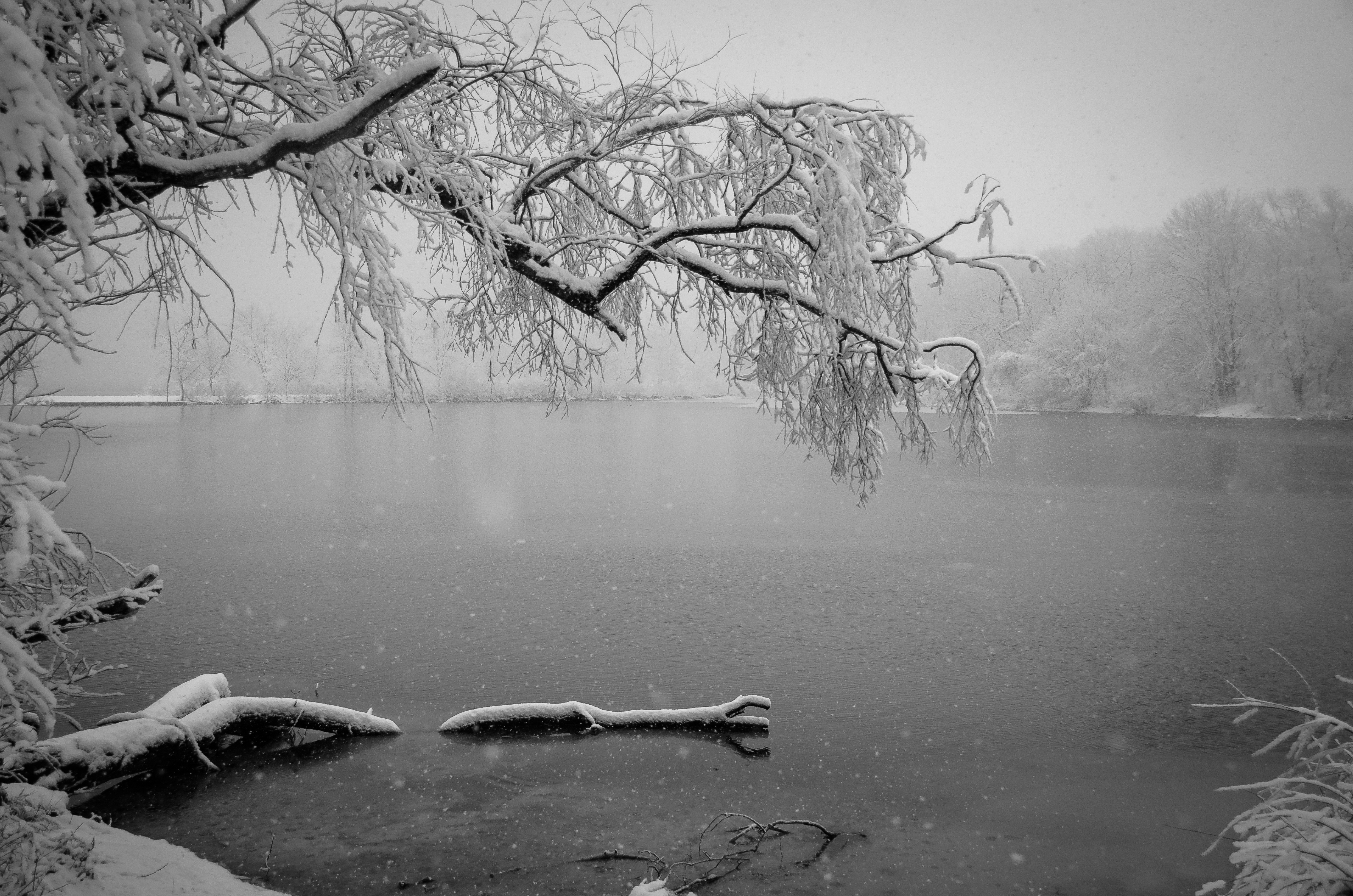 Monochrome Reality