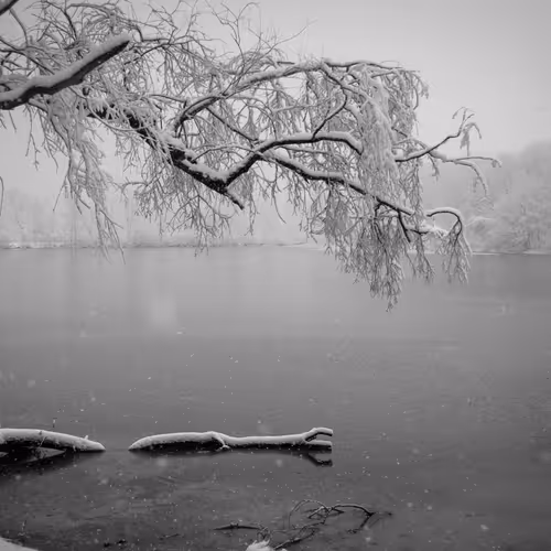 Monochrome Reality