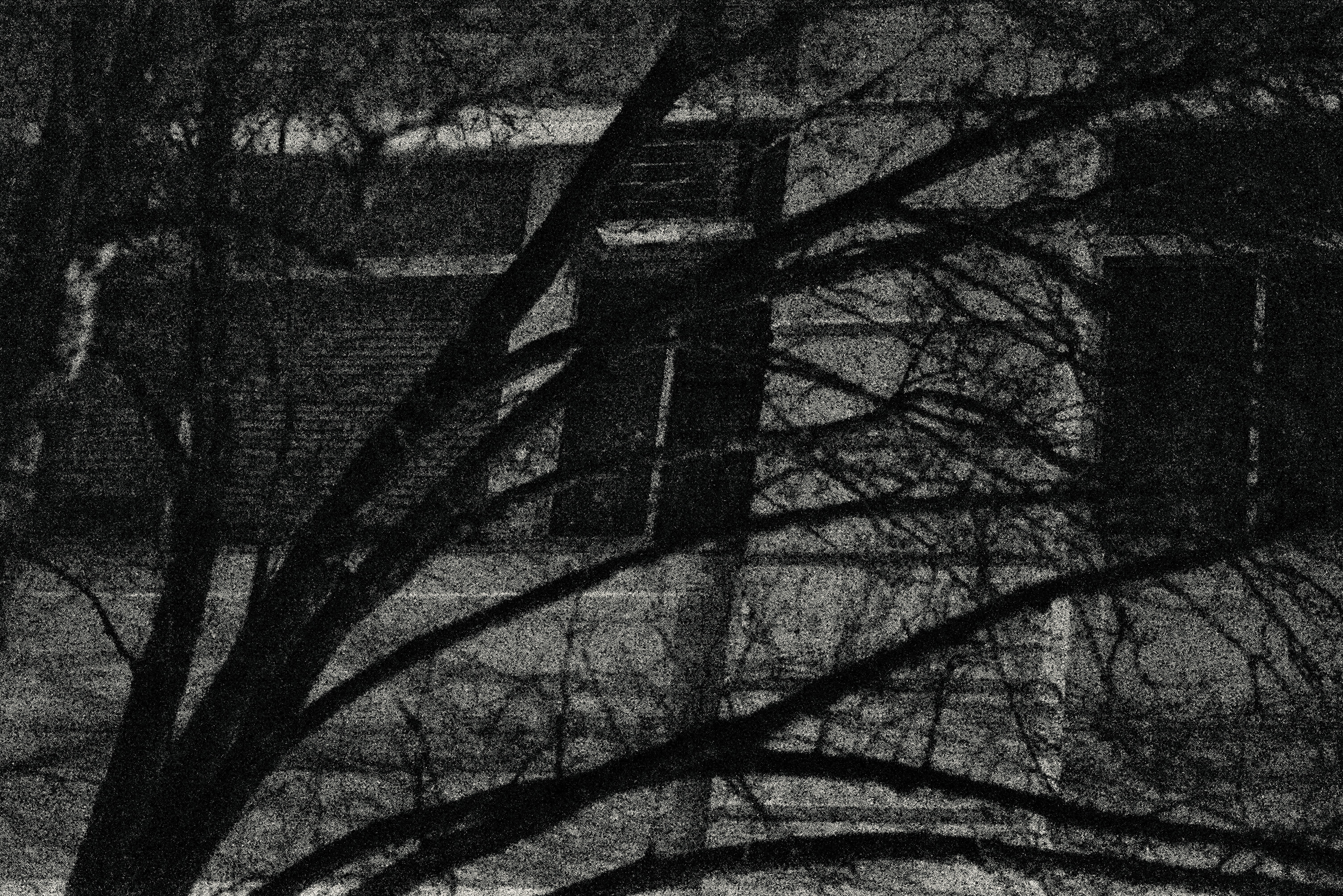 Agne’s Window