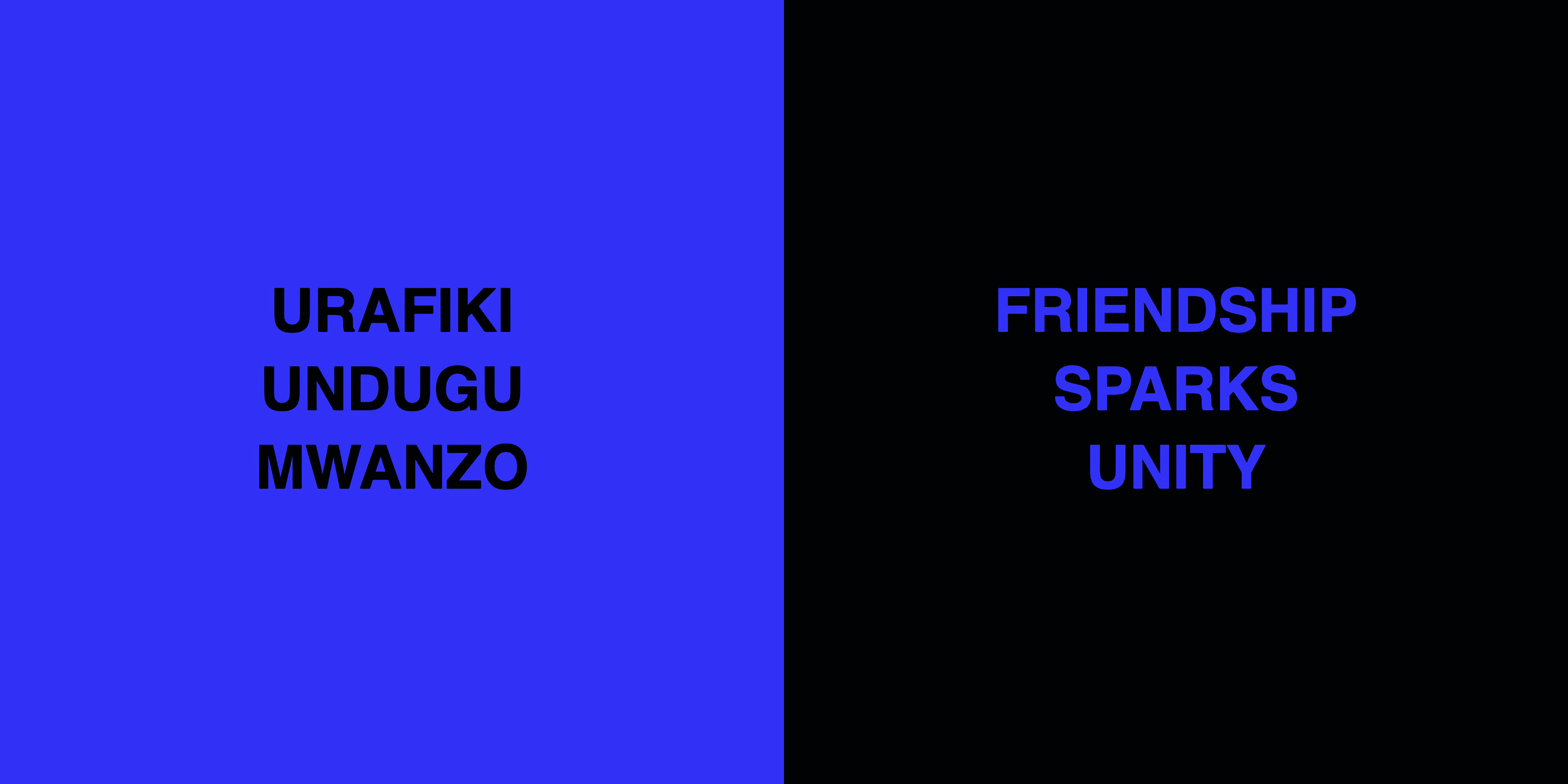 Words of DzalEka: FRIENDSHIP SPARKS UNITY