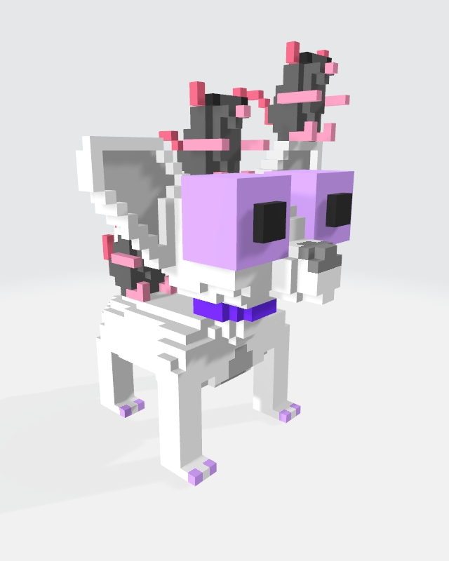 Pet sitter