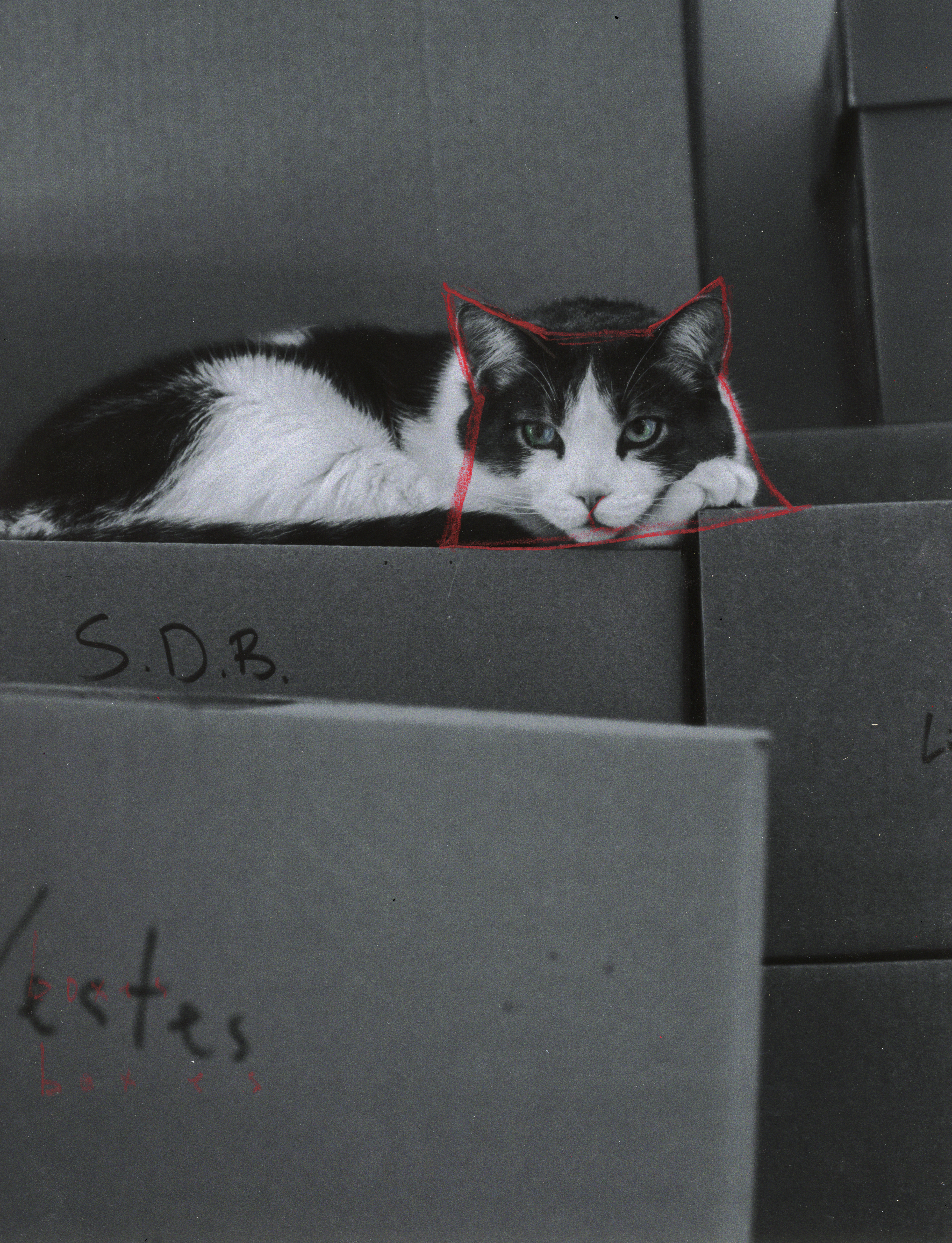 moving out boxes