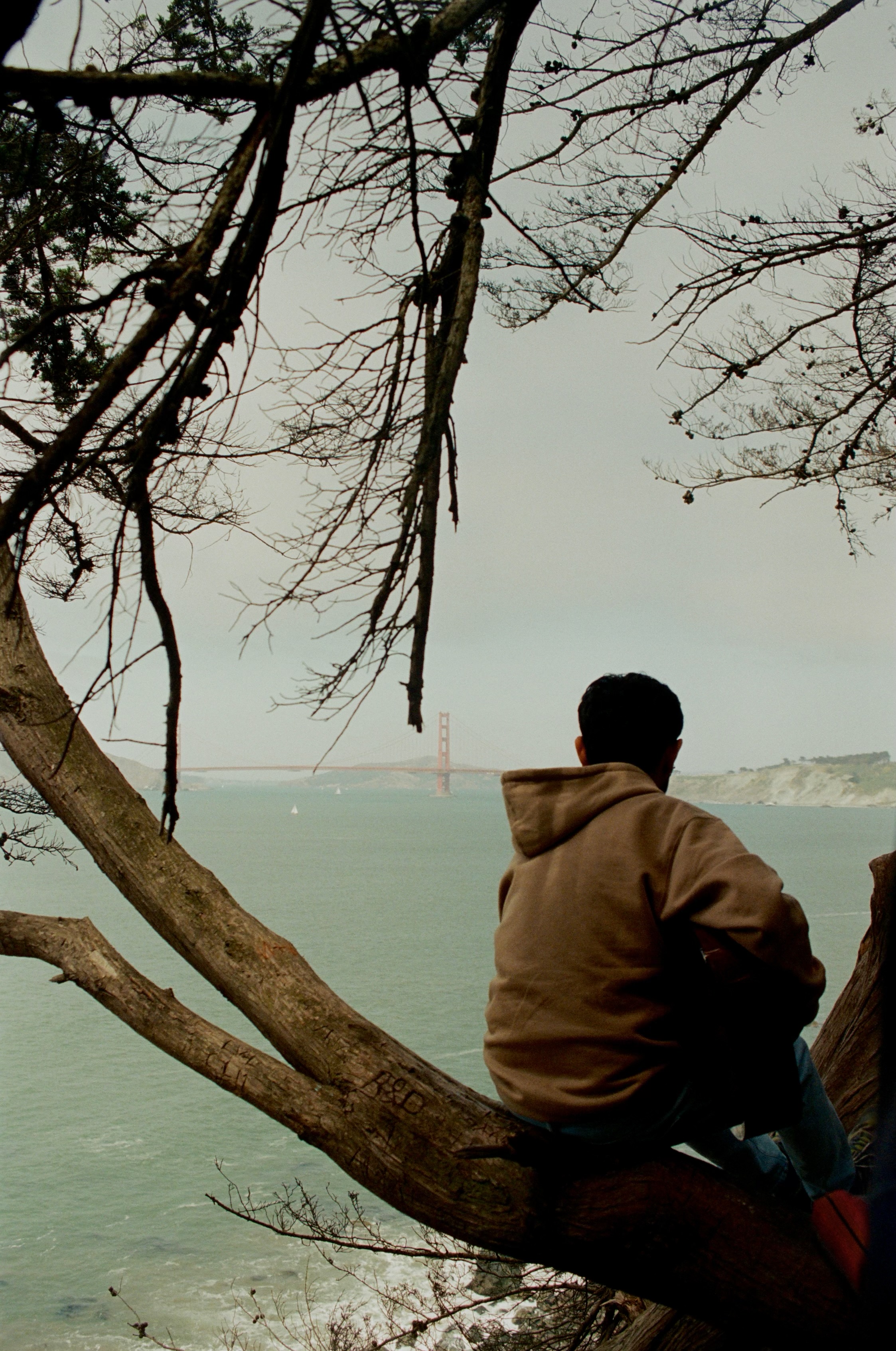 San Francisco Trip