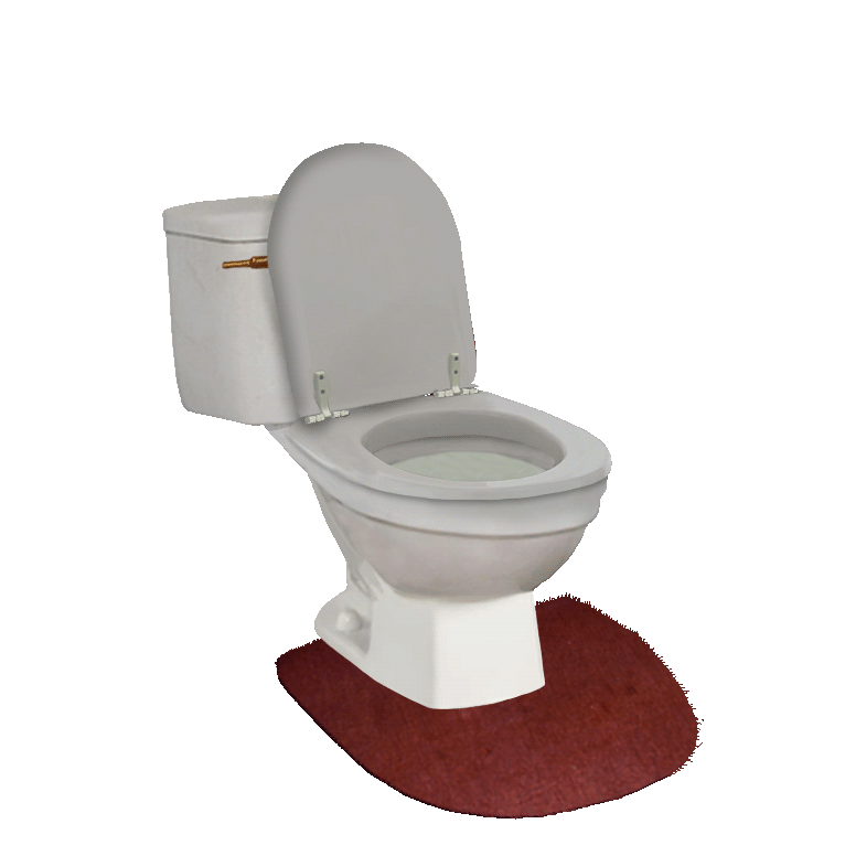 A toilet