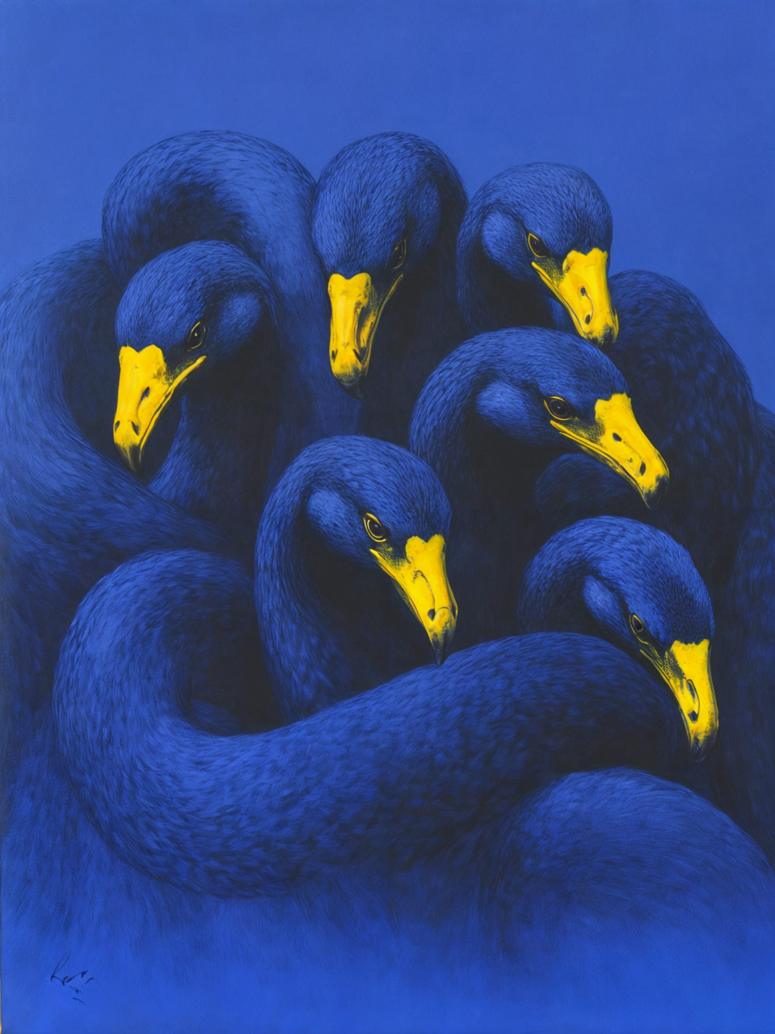 Blue goose 01/05/24