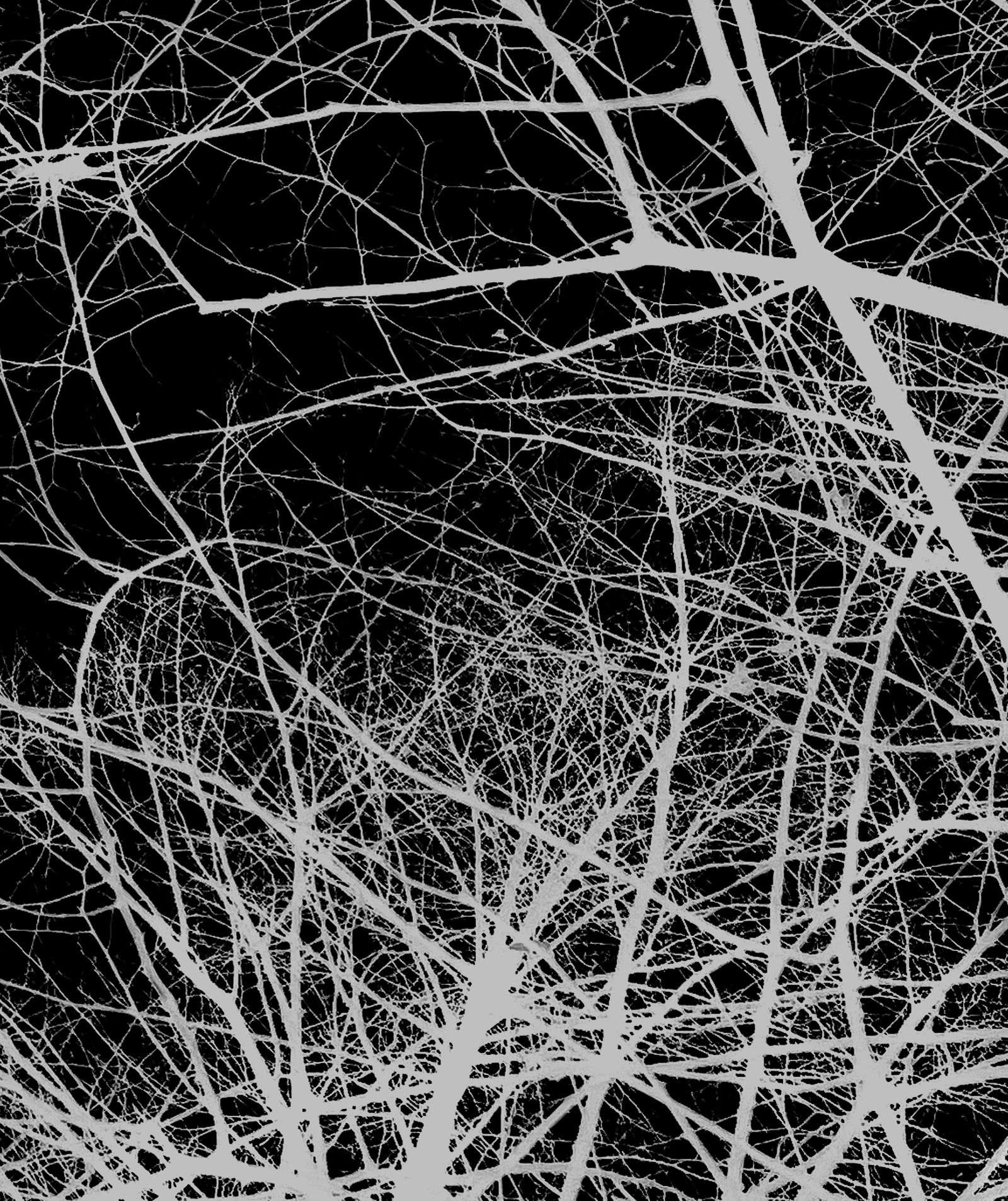 Interlude 58