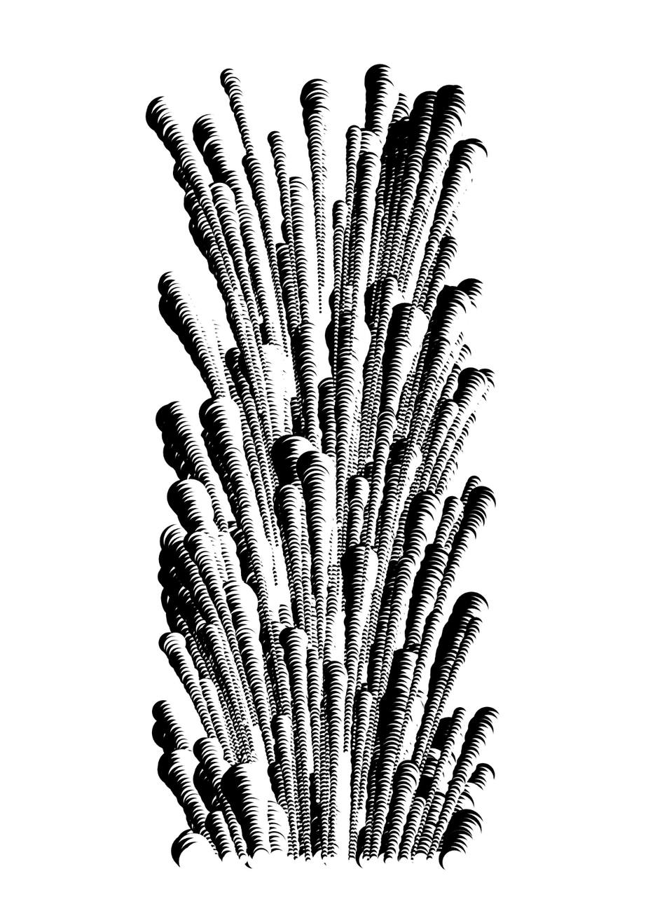 Pure black and white, no gray