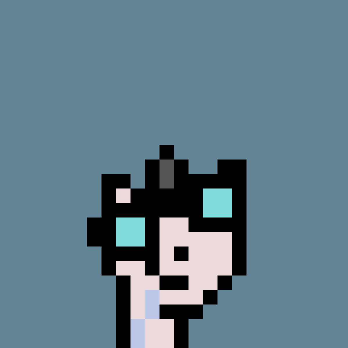 PNUKS #2291