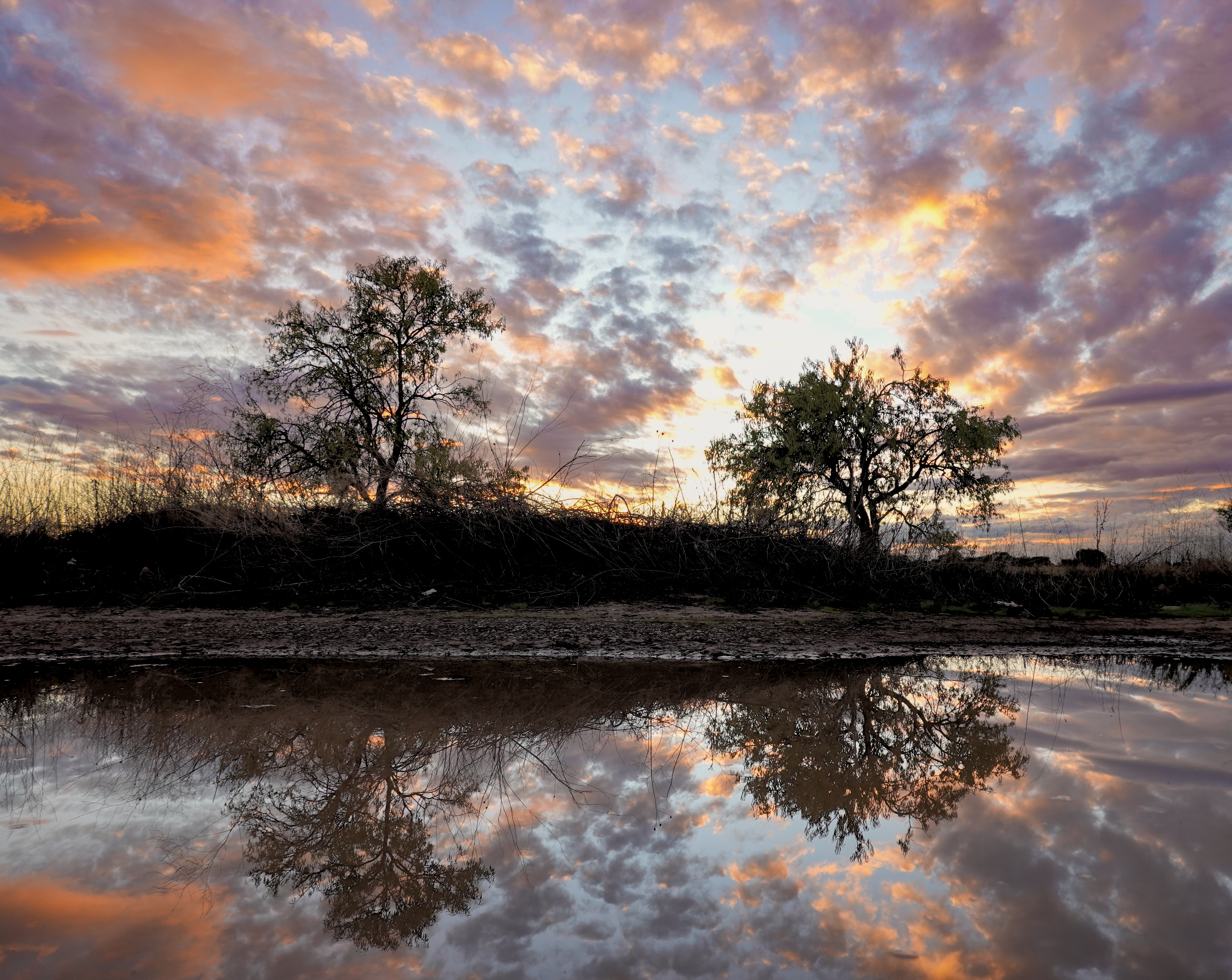 Reflections