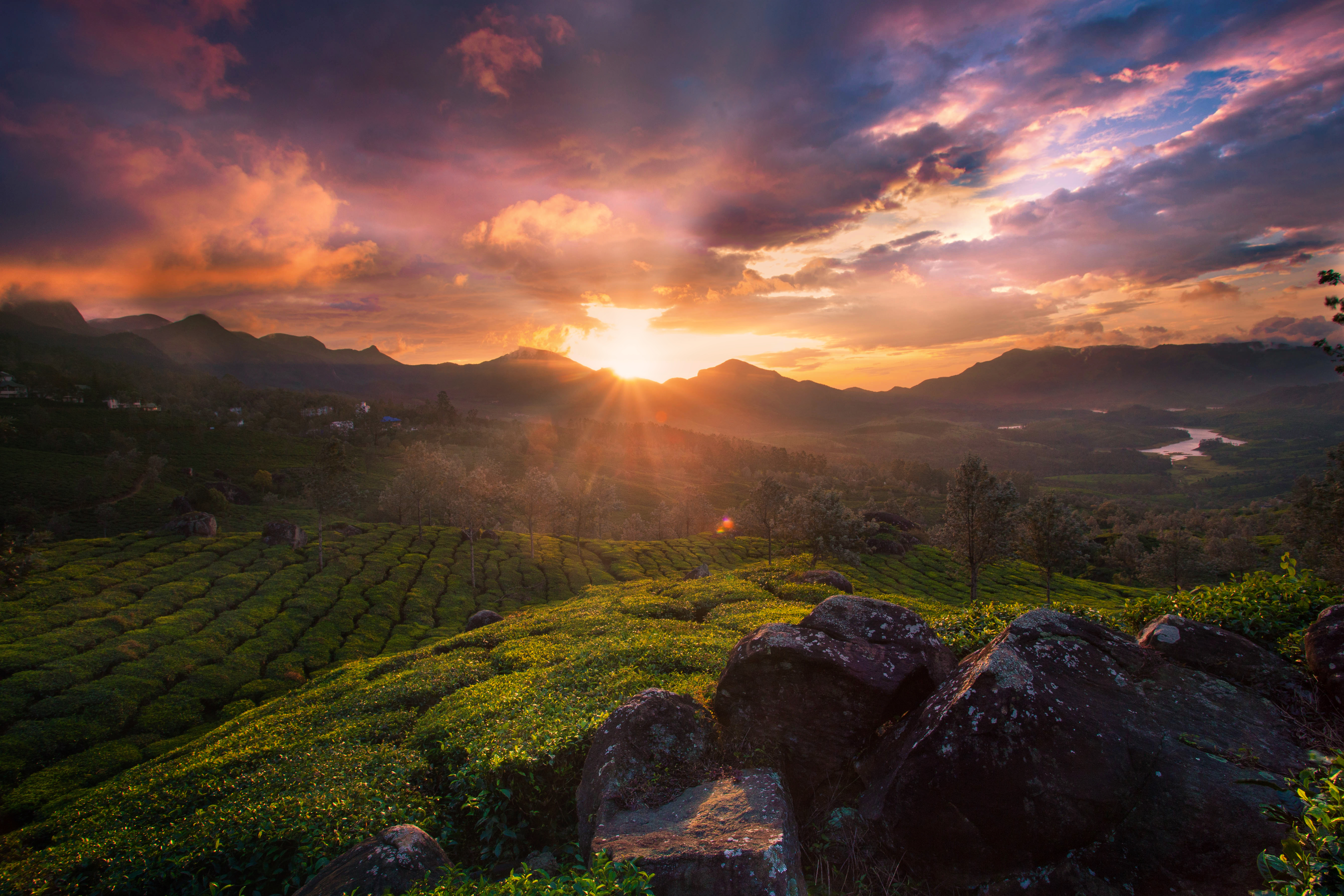 Golden Dawn Over Munnar