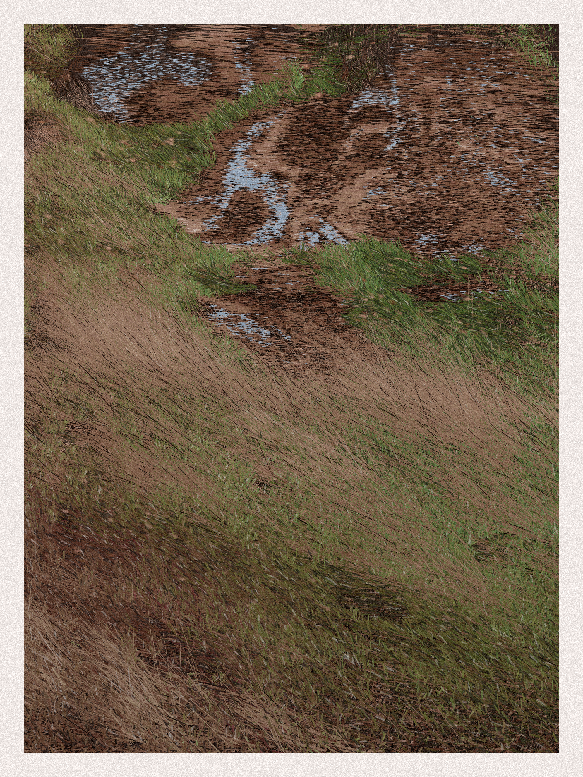 Primitive Landscape