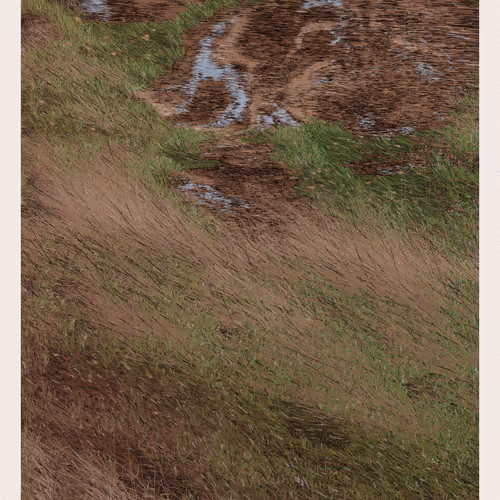 Primitive Landscape
