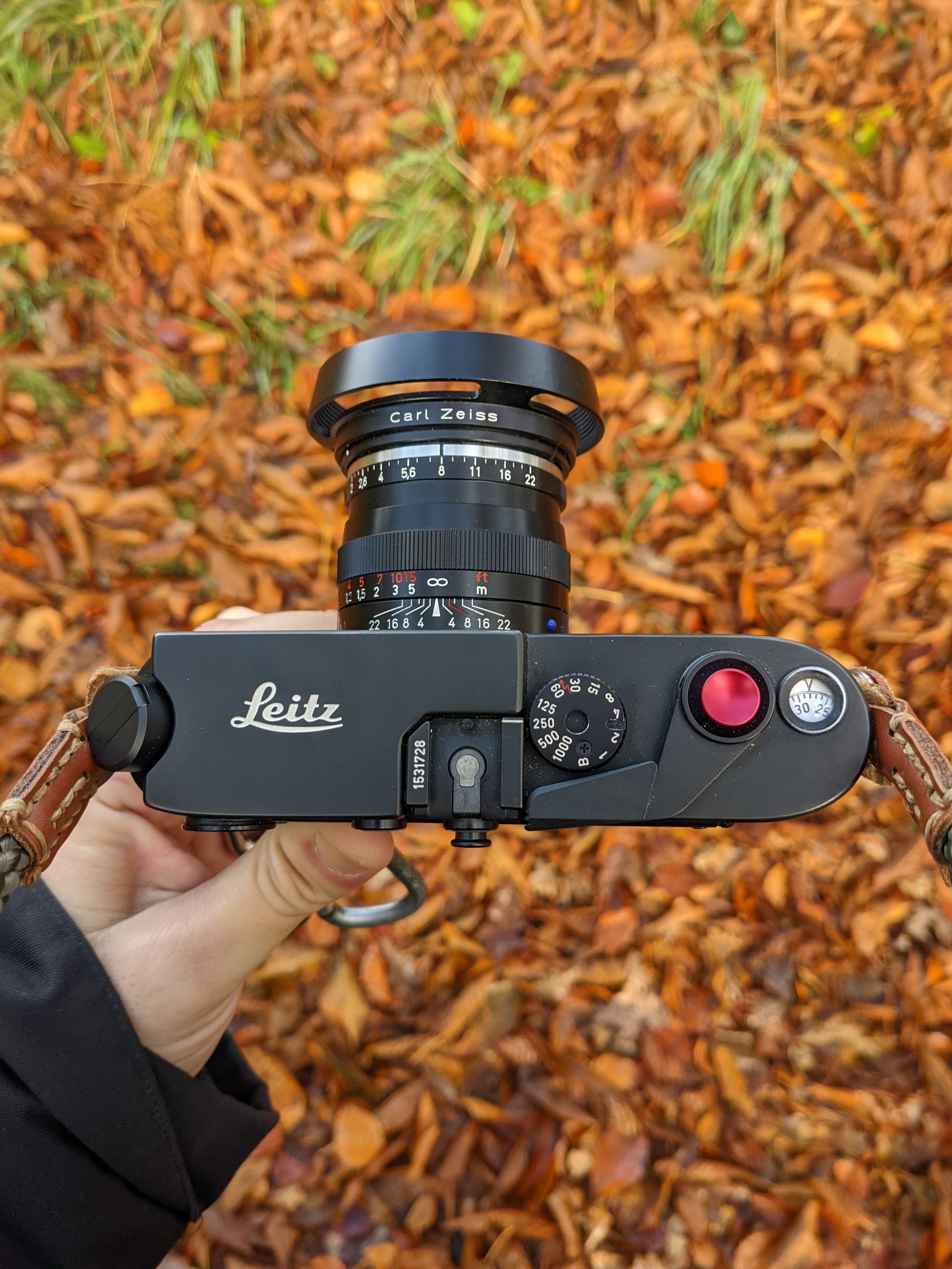 Autumn with my Leica #1