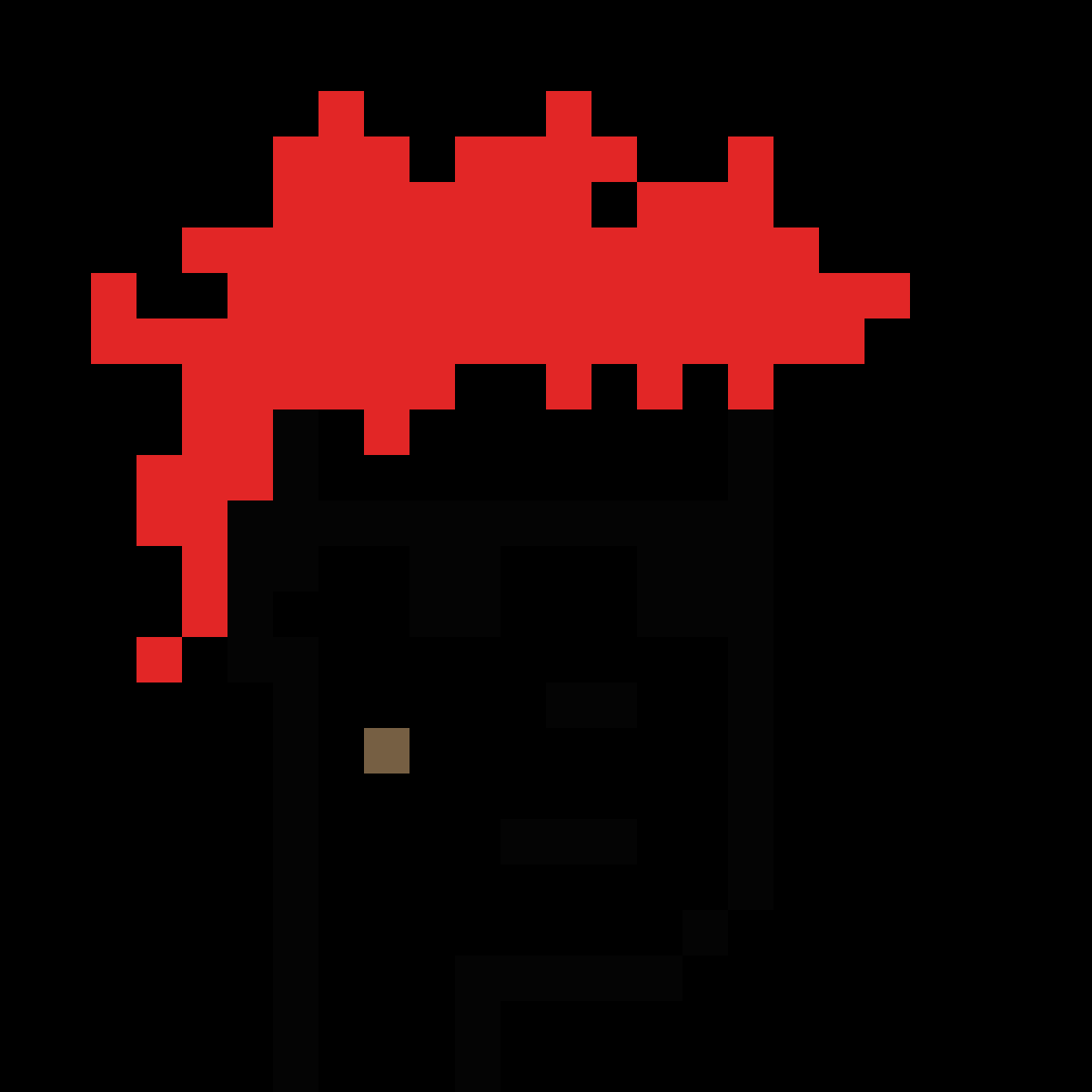 No-Punk #5505