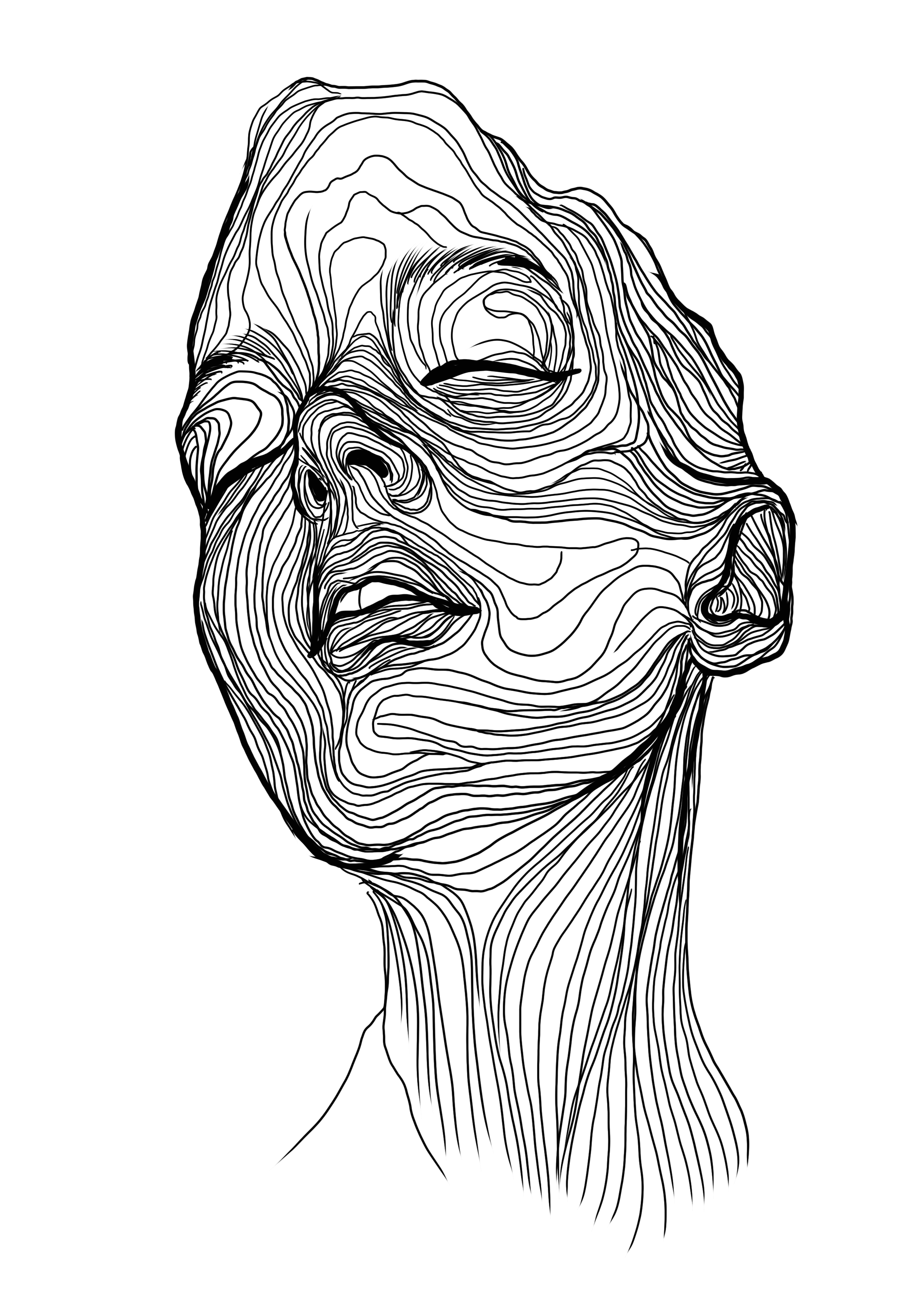Boundaries of the Face