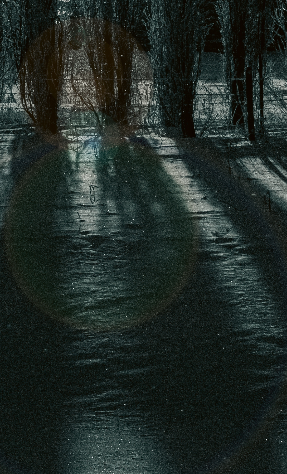 The shadow knows