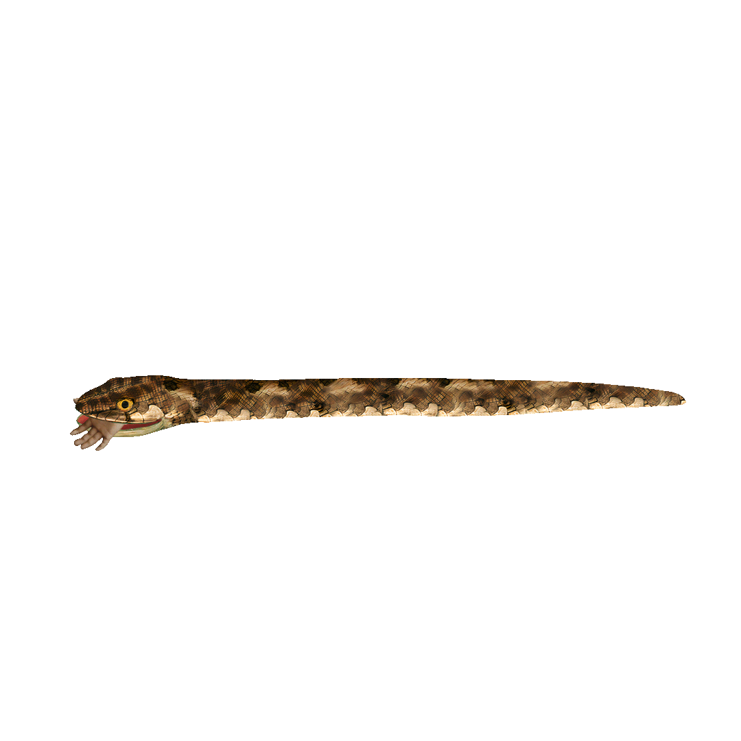 This Snake Chews