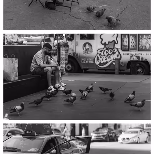 Pigeon buddies