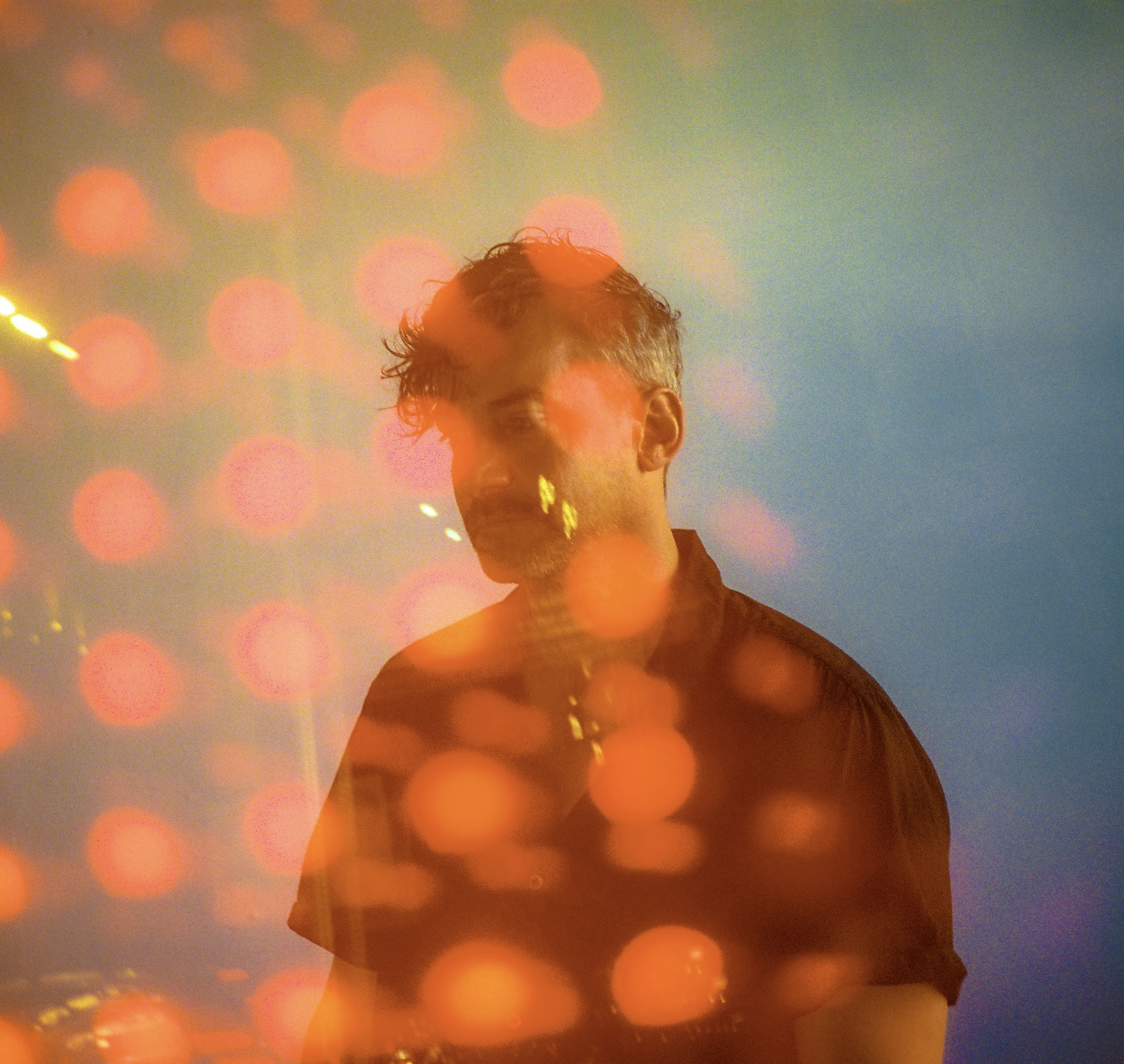 Bonobo 002