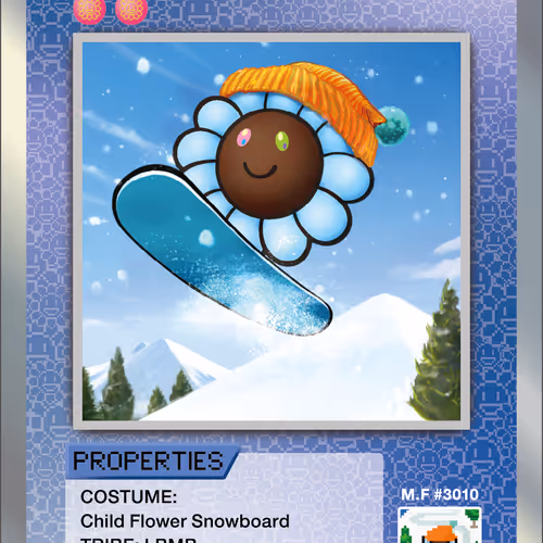Snowboard SP-028 EN