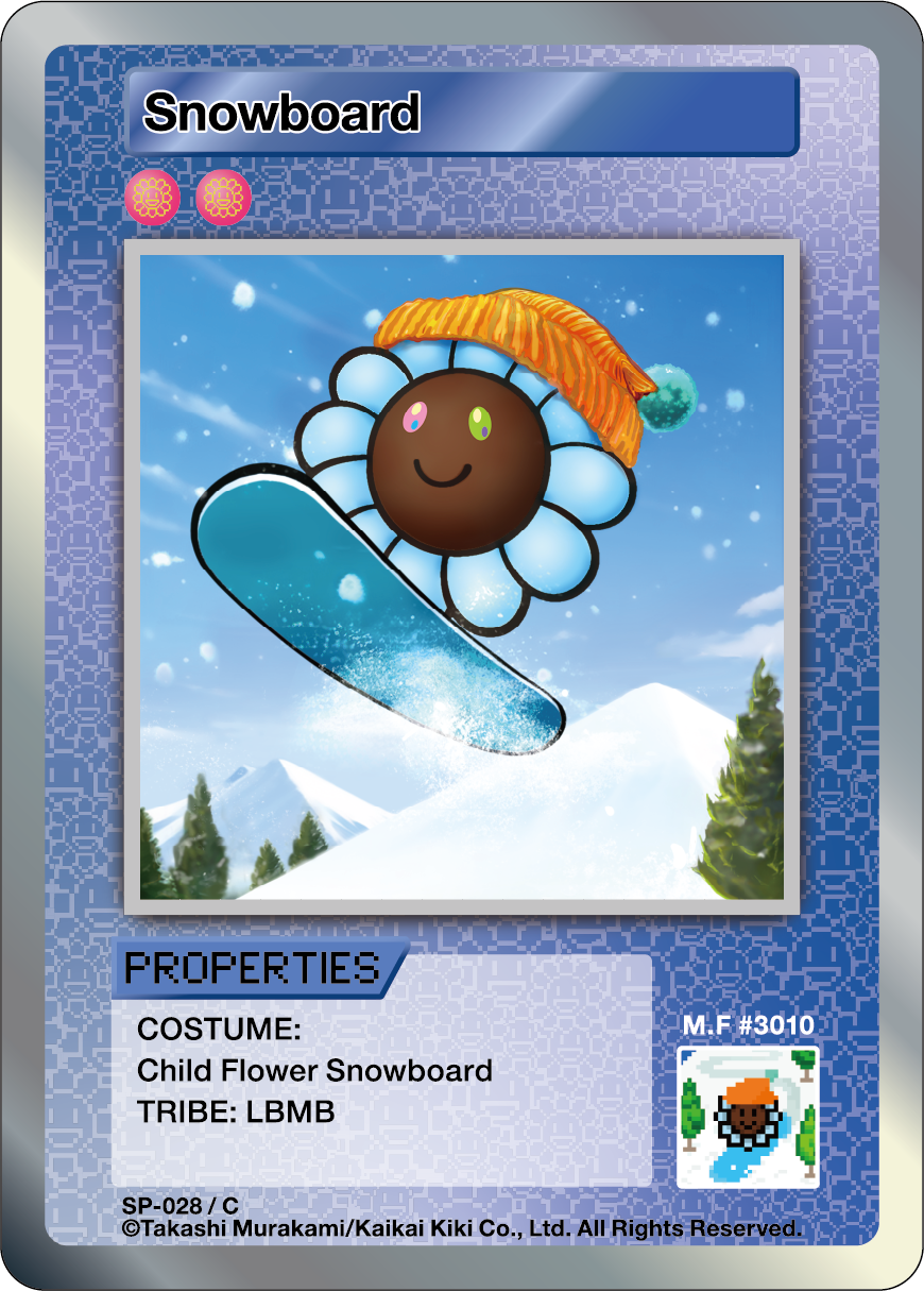 Snowboard SP-028 EN
