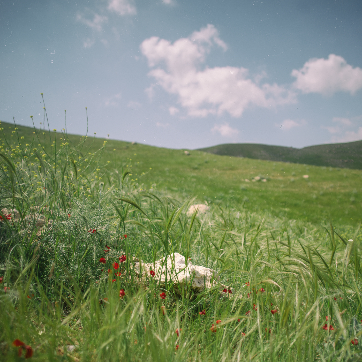 Spring