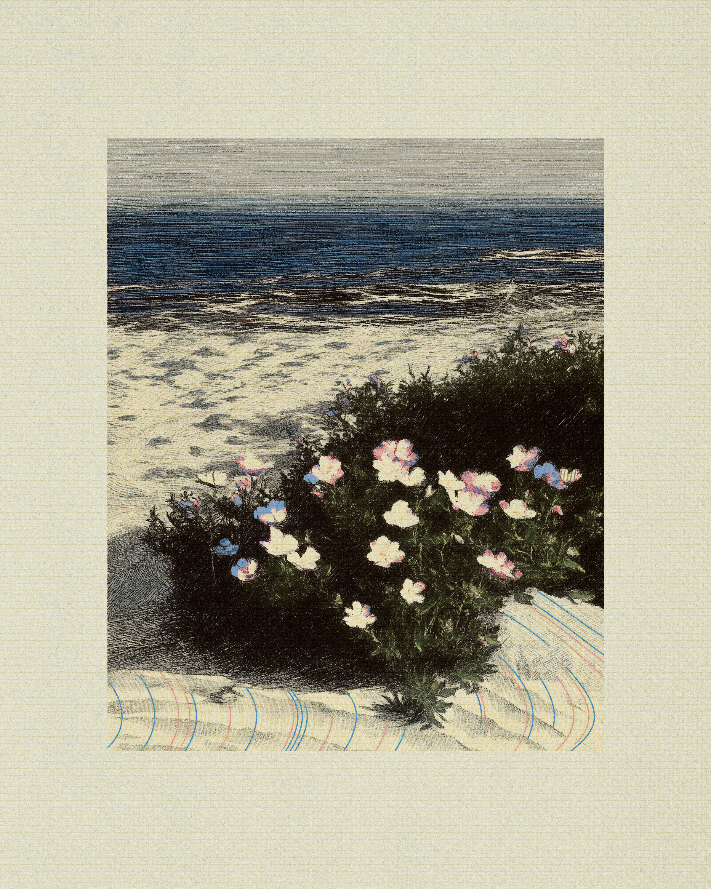 Coast #67