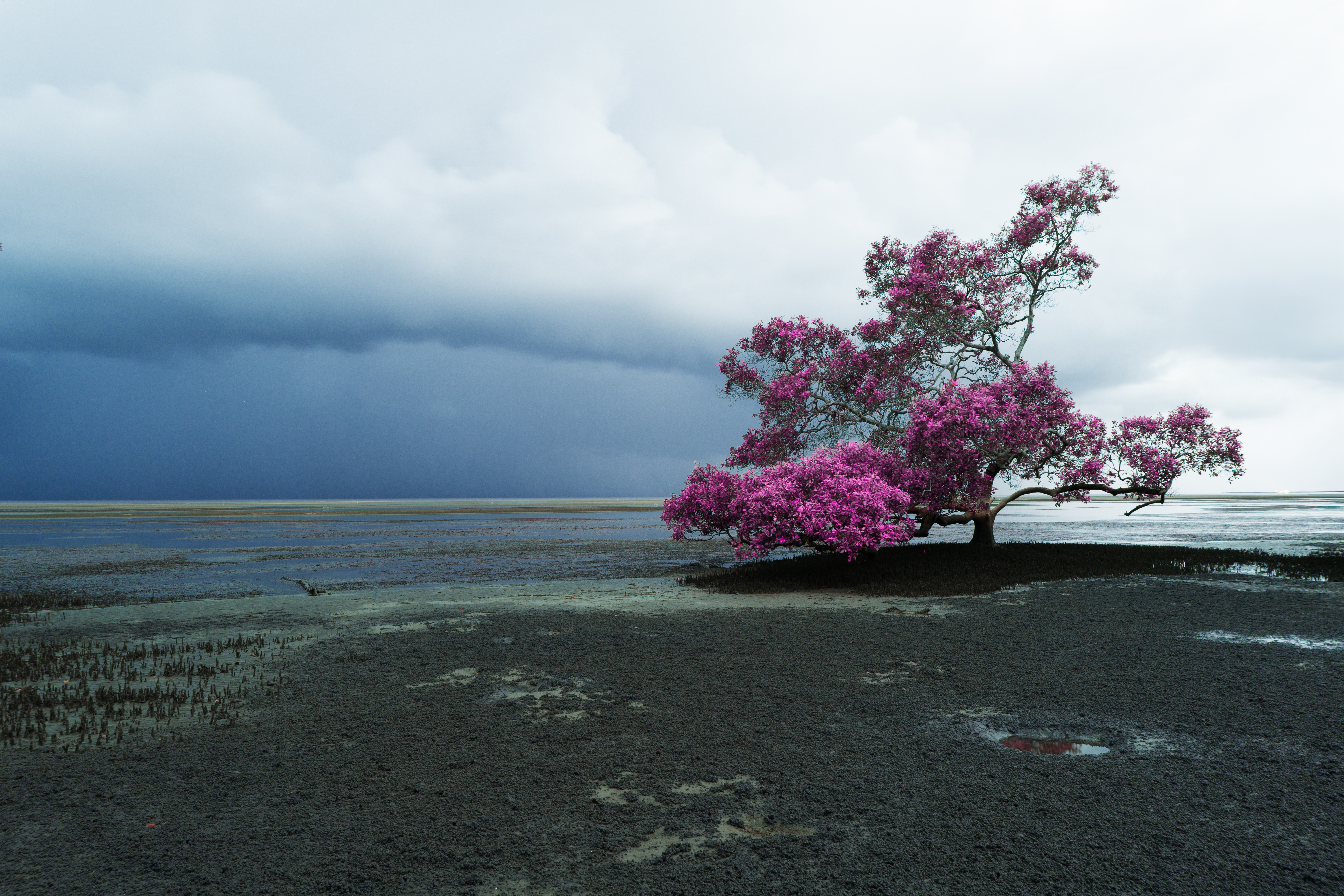 Stormy morning