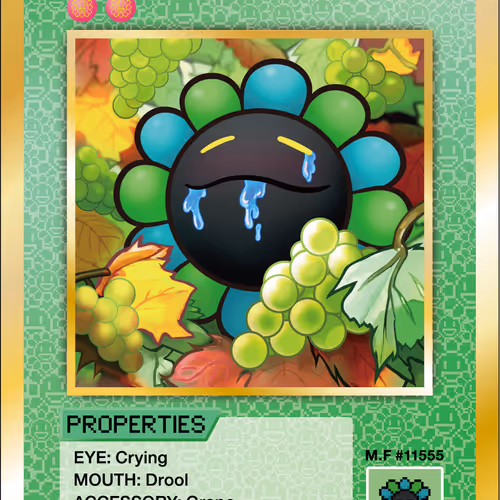 Grapes SP-221 EN
