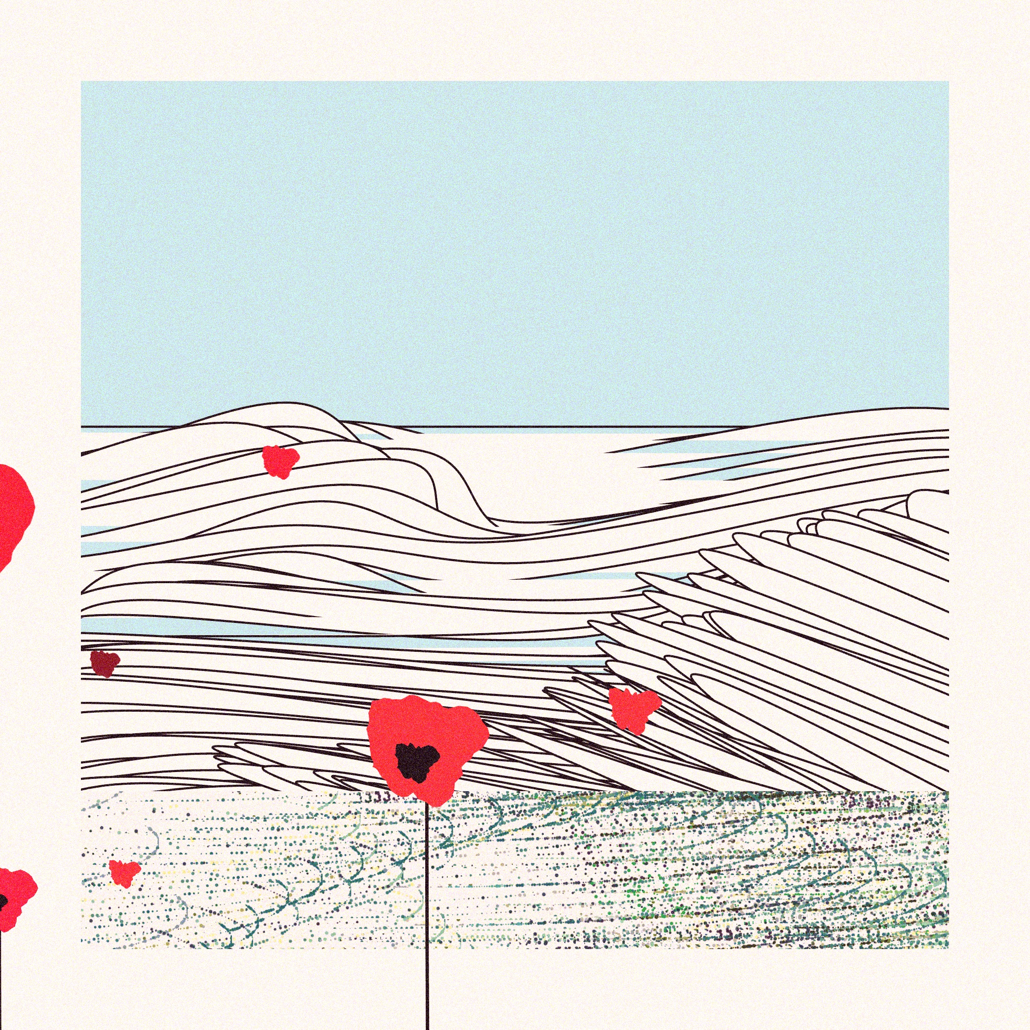 Poppies of Normandy