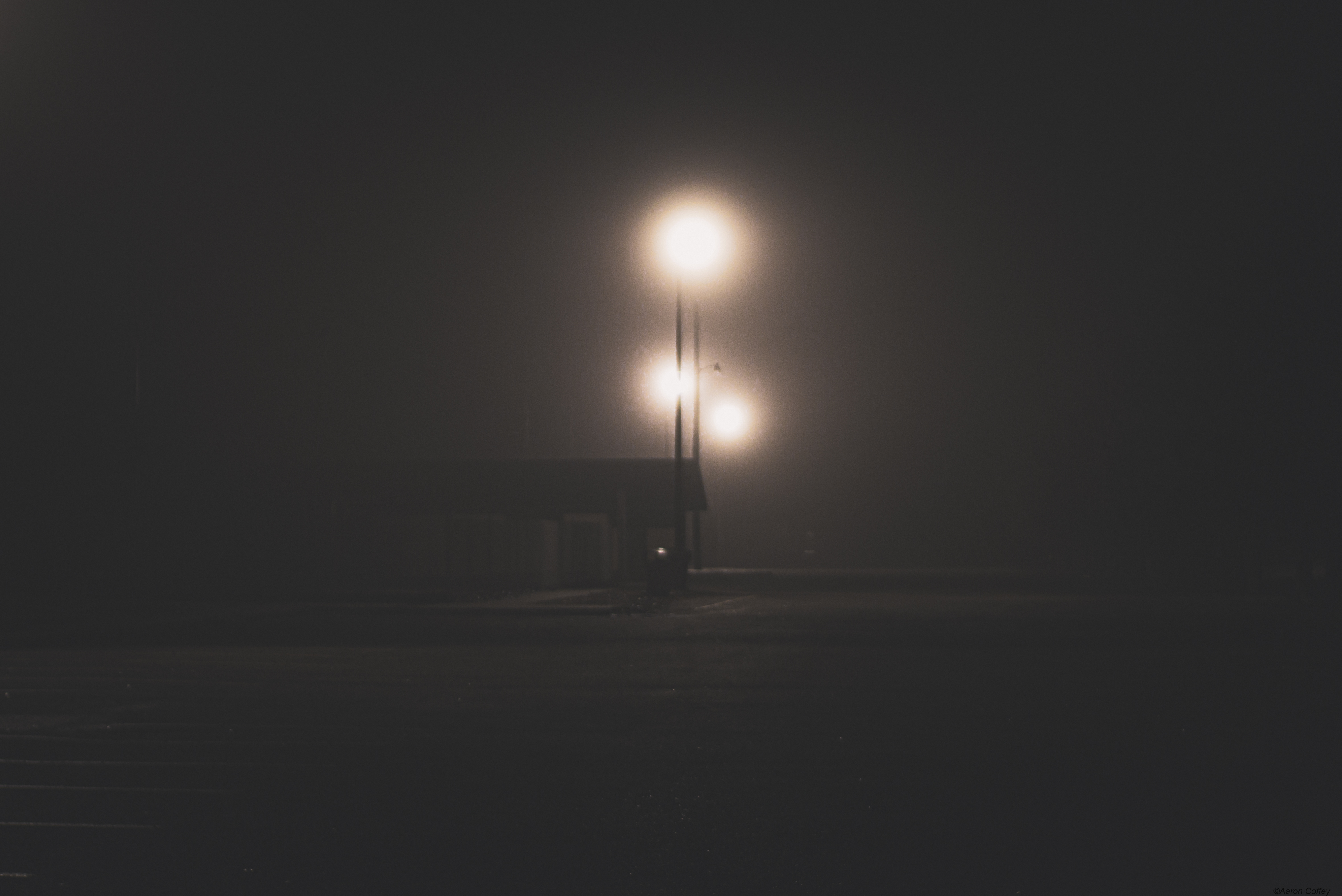 We are Not Alone