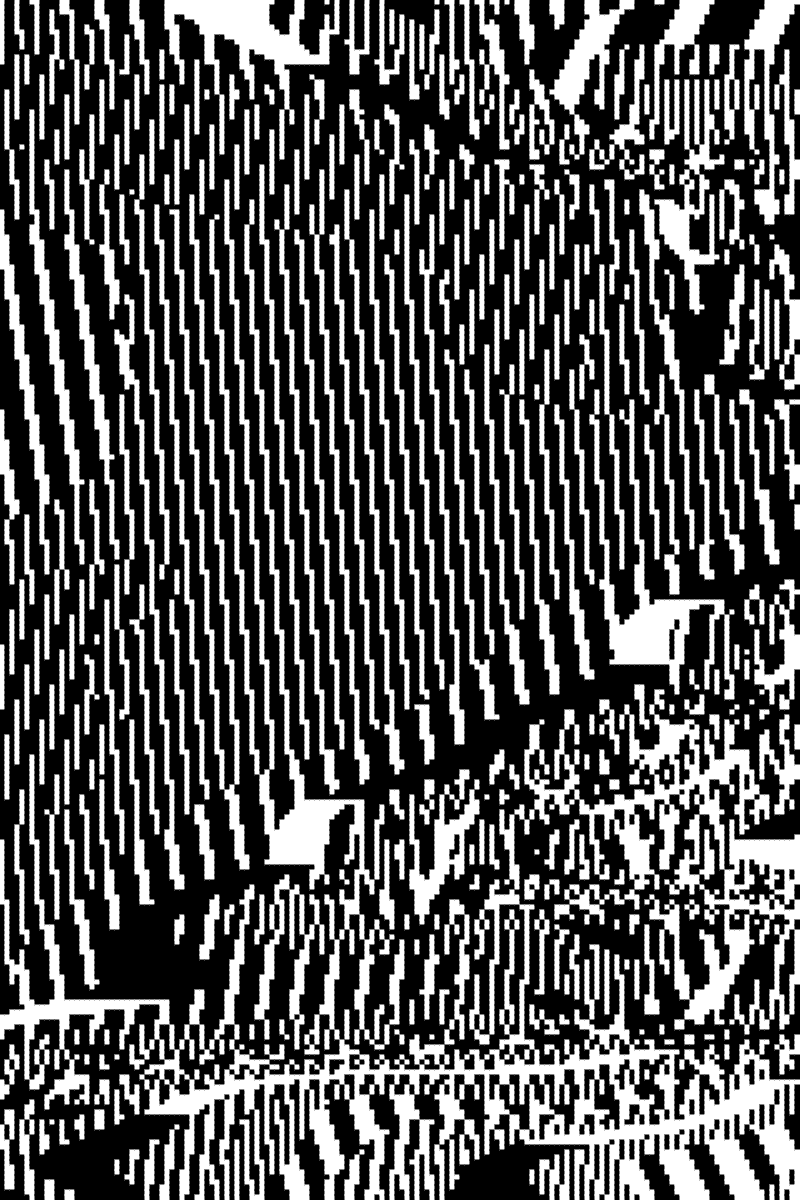 Warp-Monochrome Loop 1