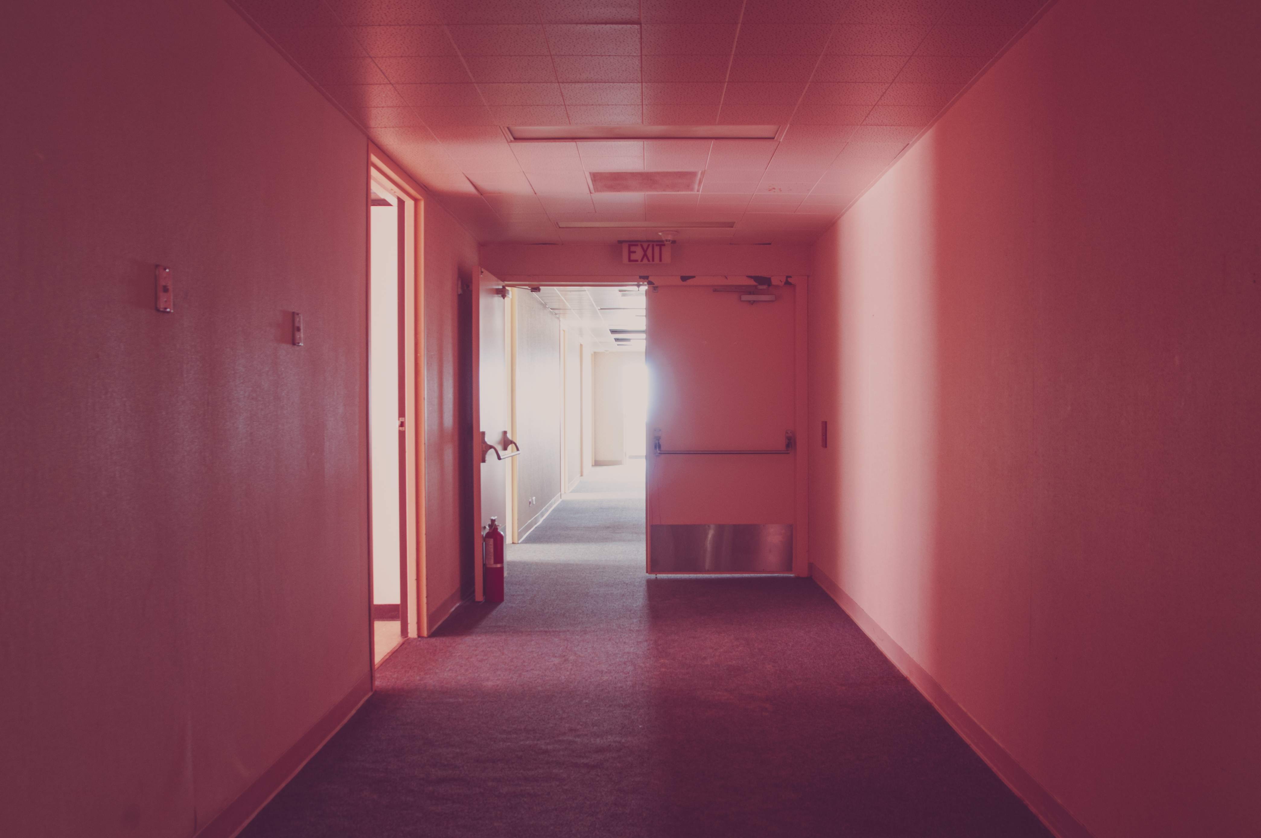 The Pink Path