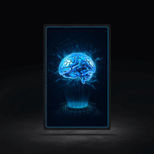 GWAY Brain #3834