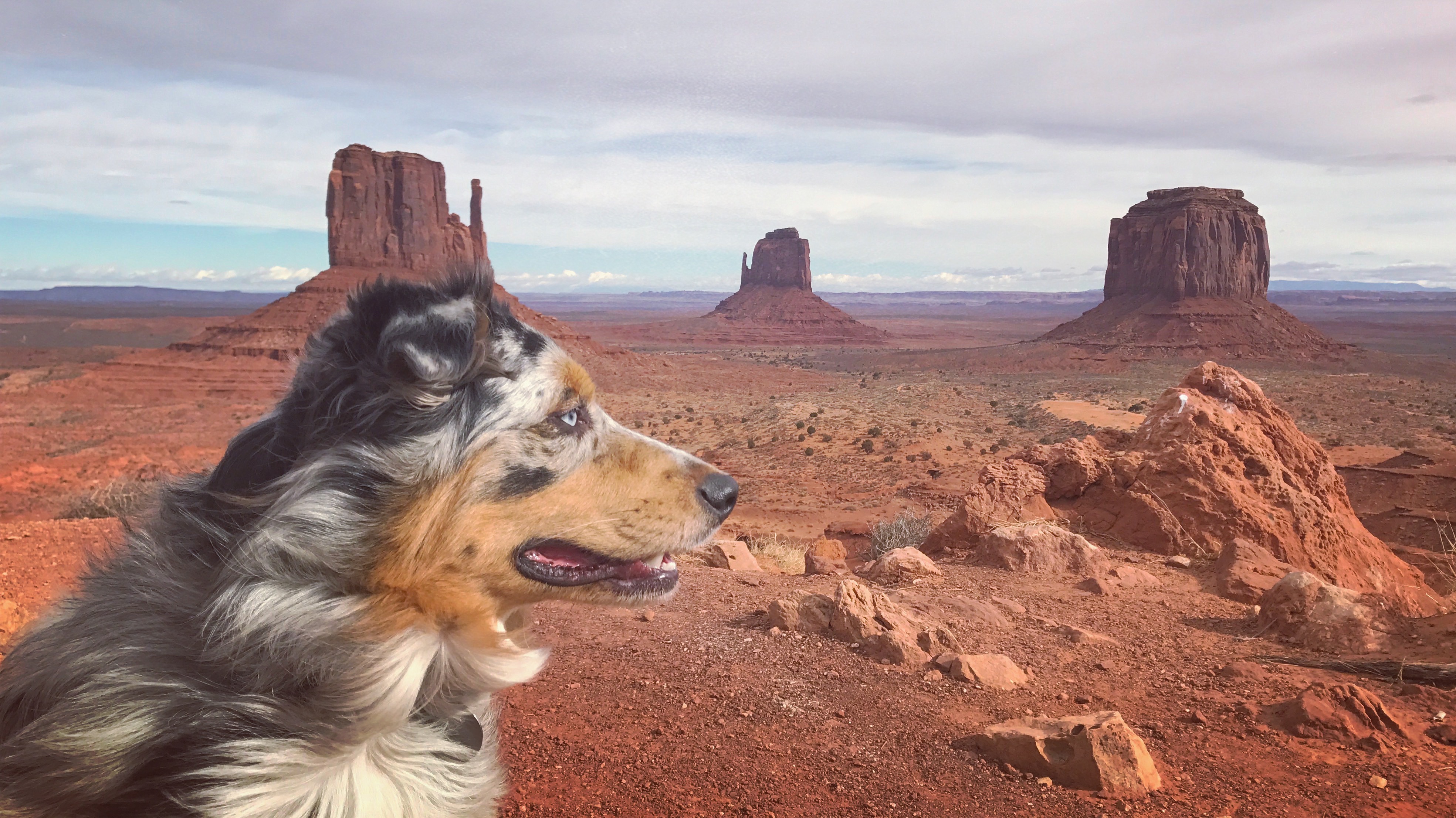 Blue @ Monument Valley
