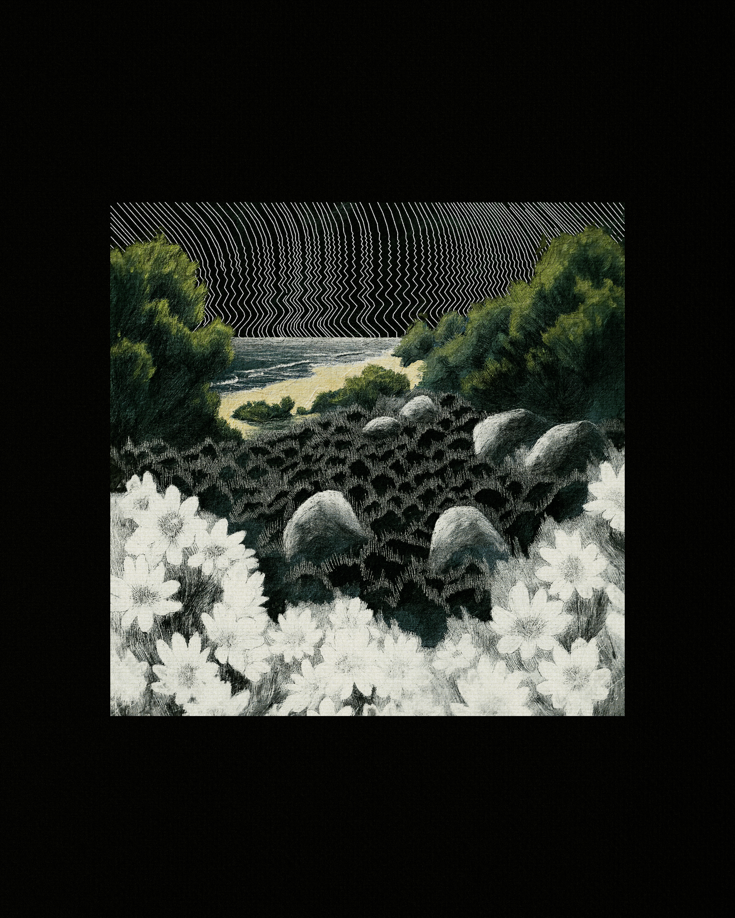 Coast #39