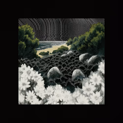 Coast #39
