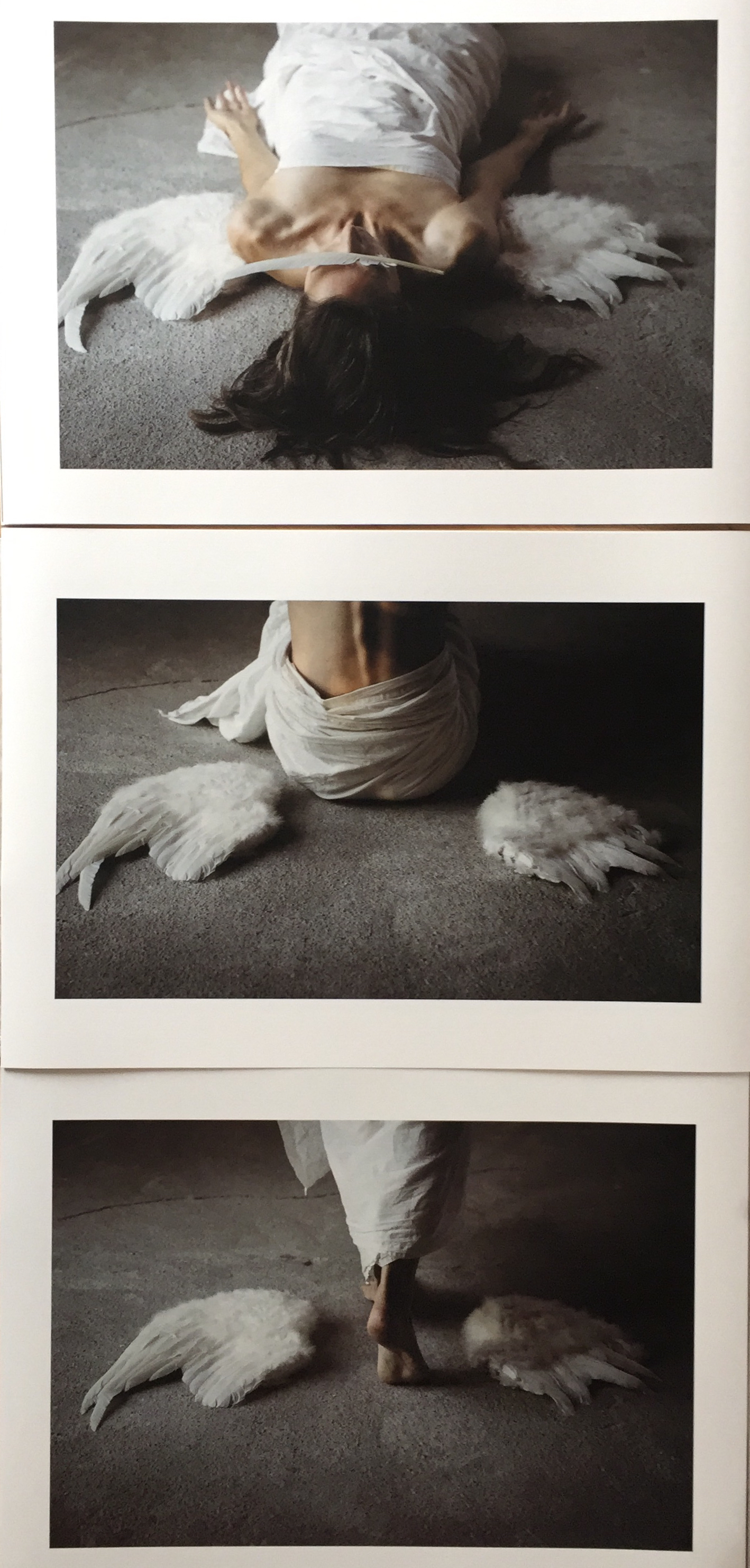 Fallen Angel series