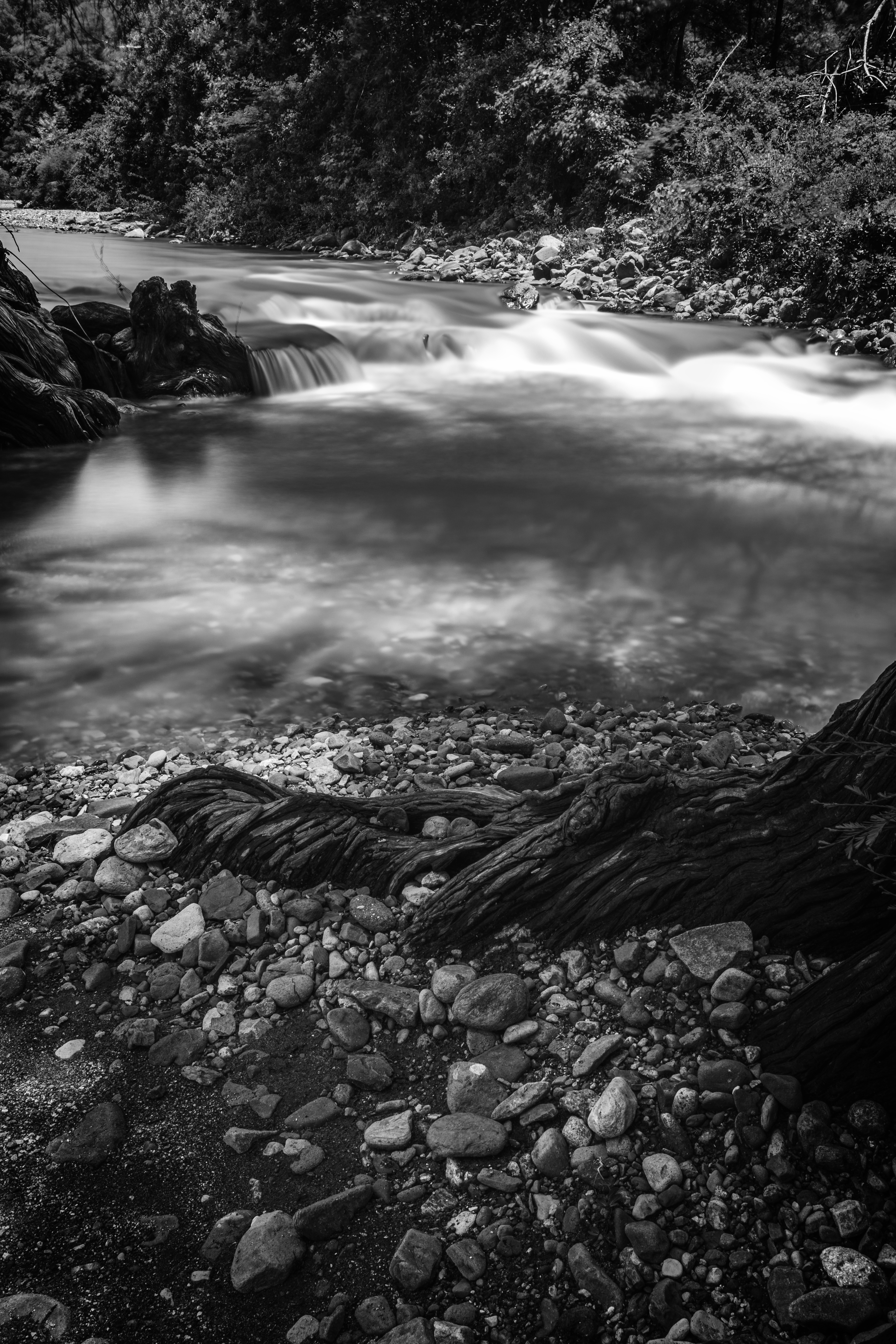 Down by the river #3