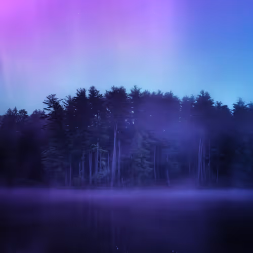Purple Haze